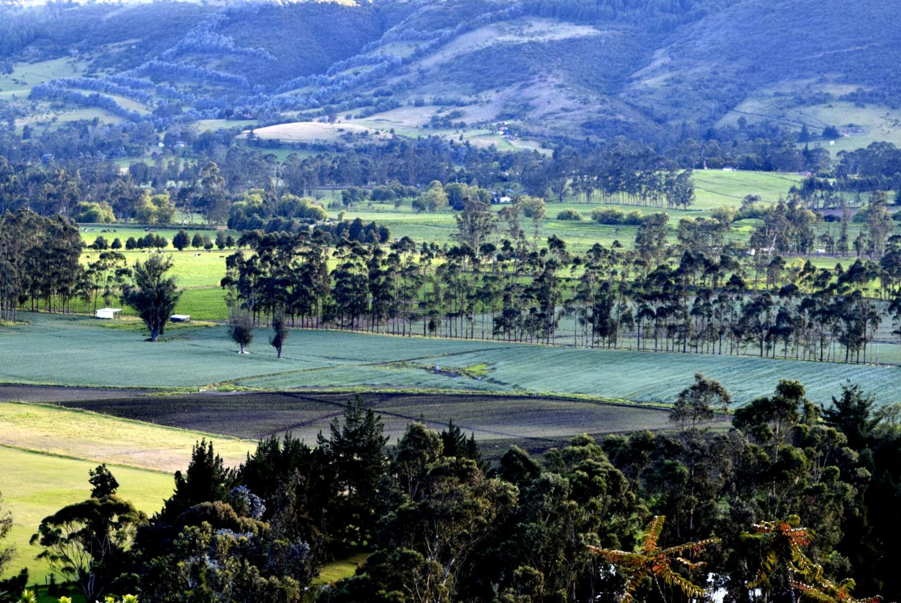 El Pedregal Sopó
