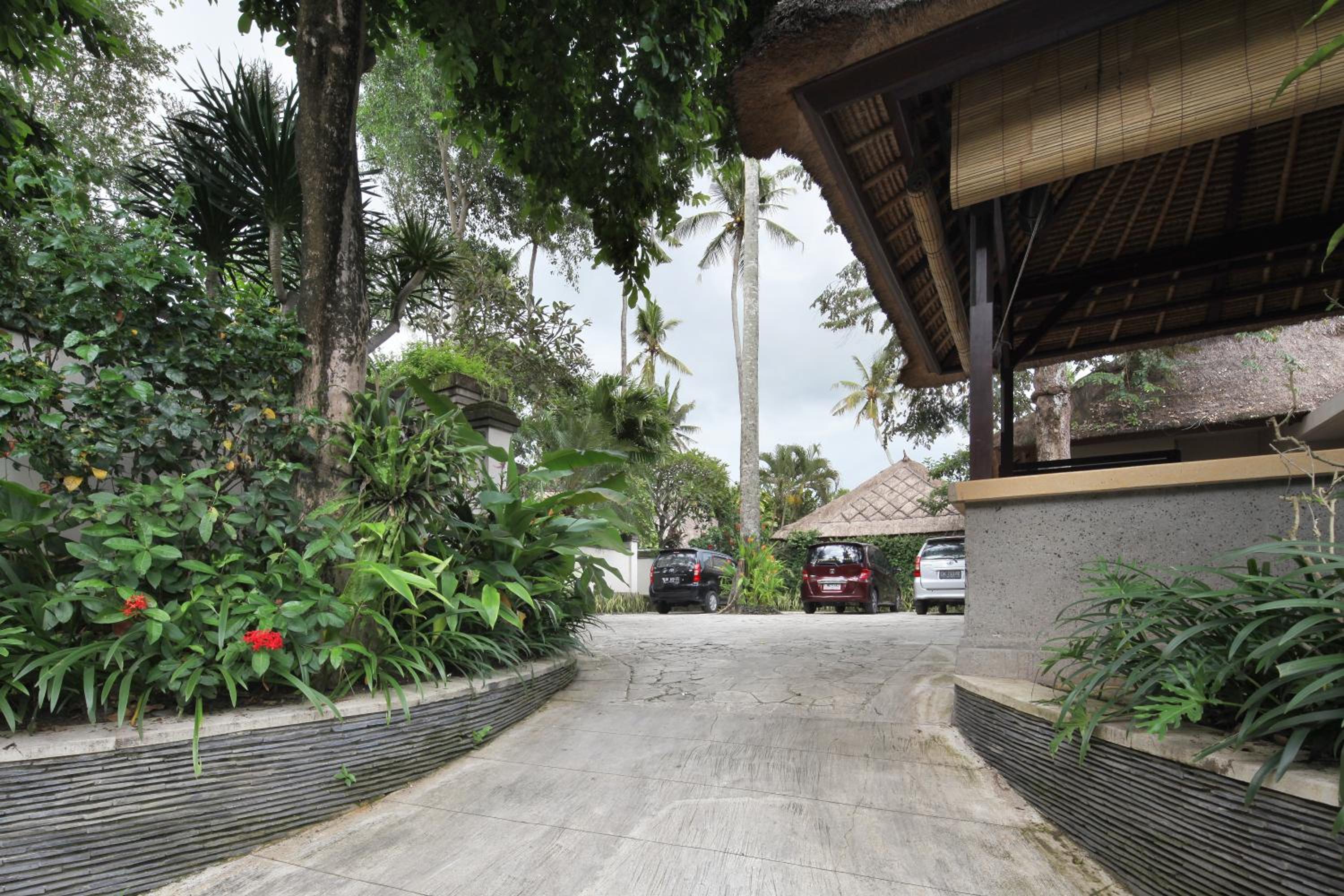 Tamu Seseh
