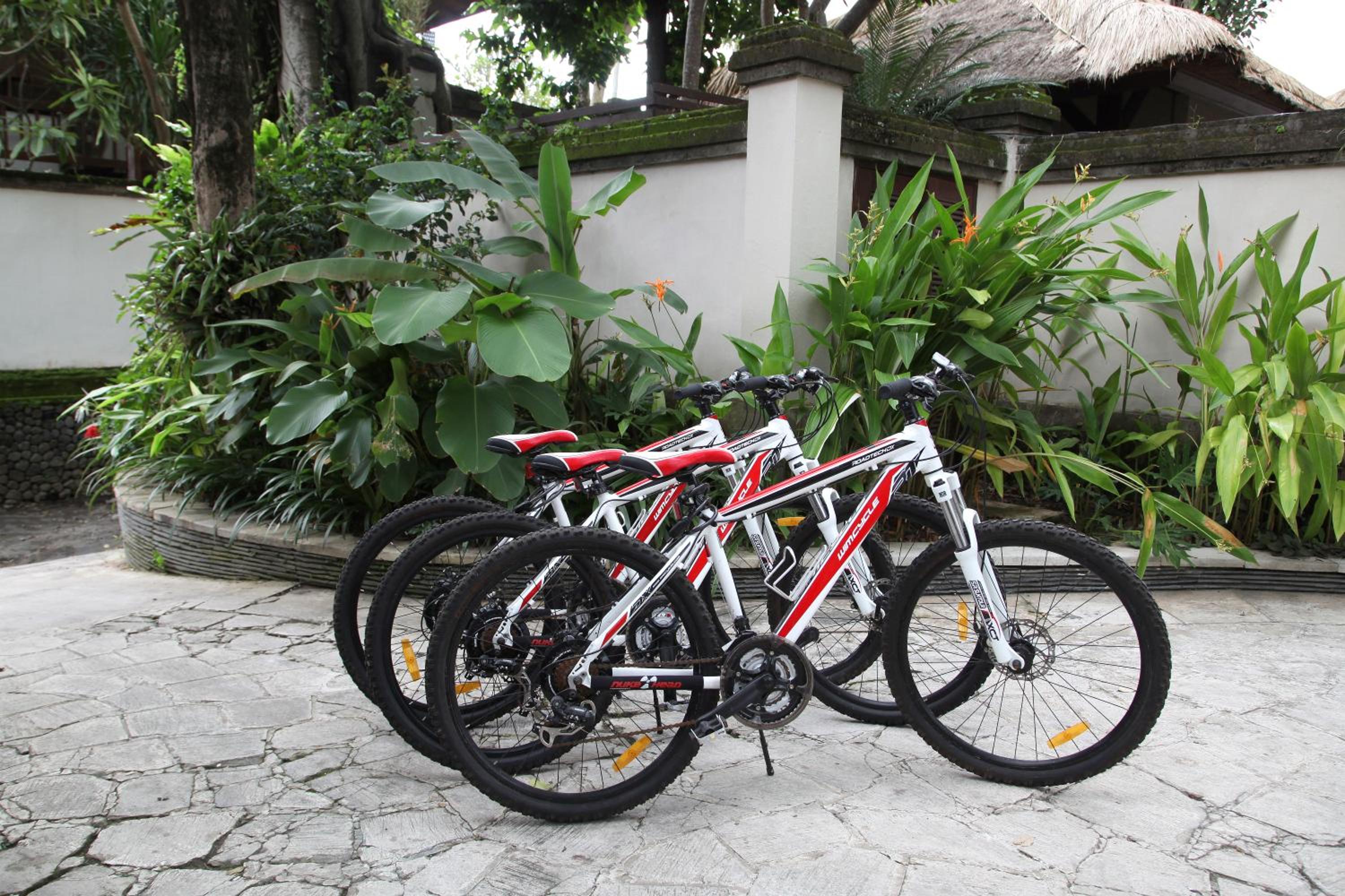 Tamu Seseh