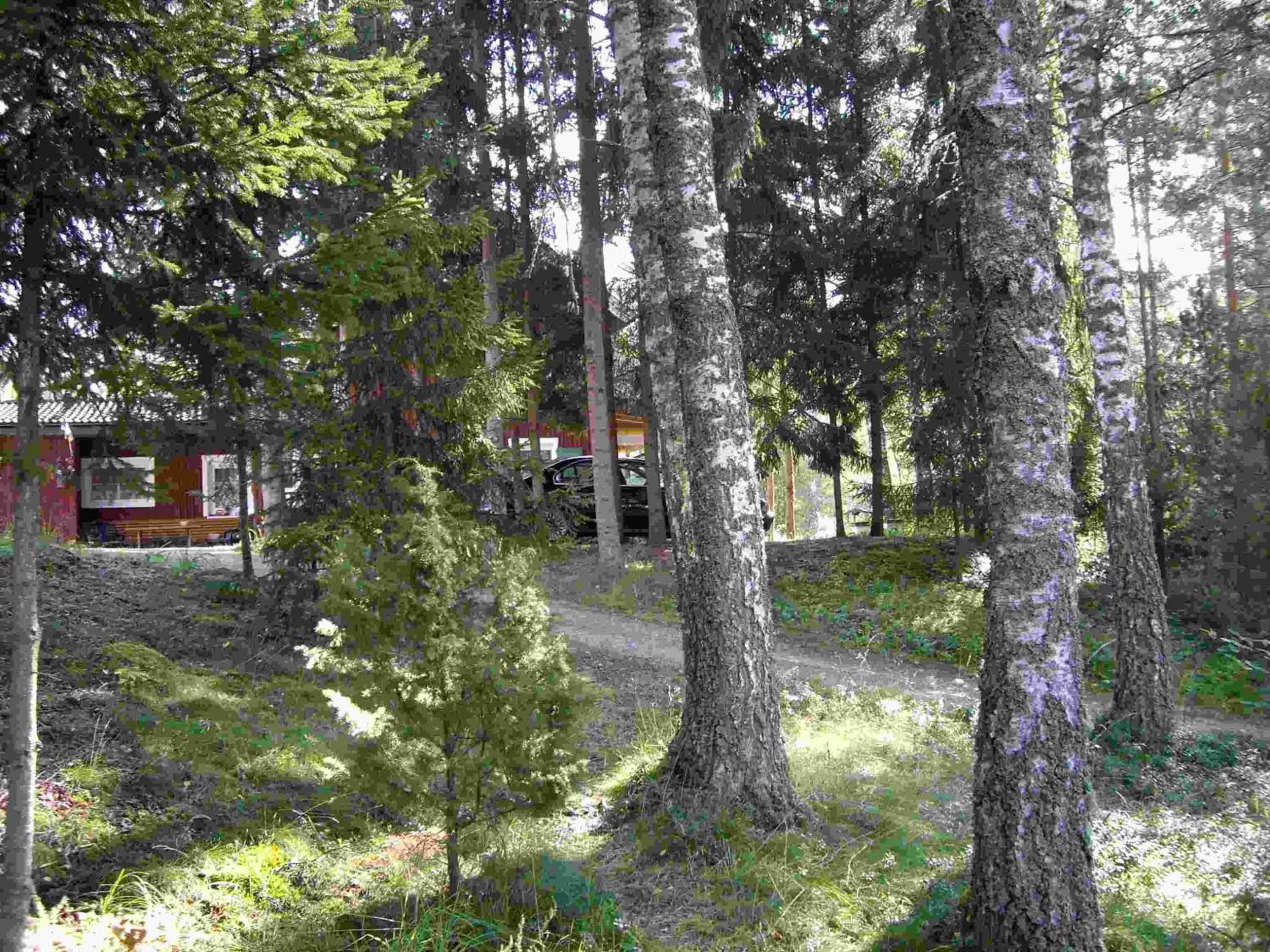 Photo 21