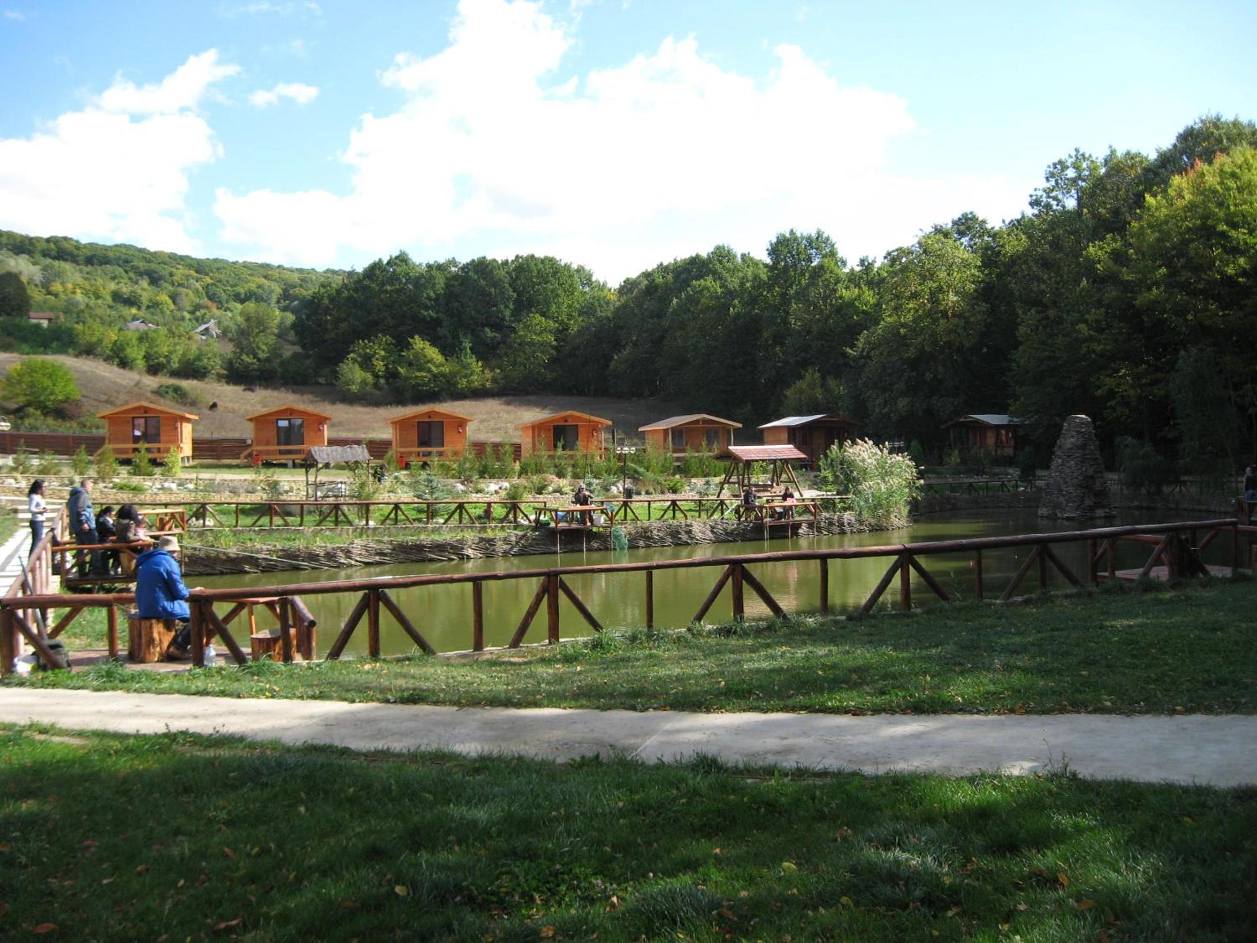 Photo 10