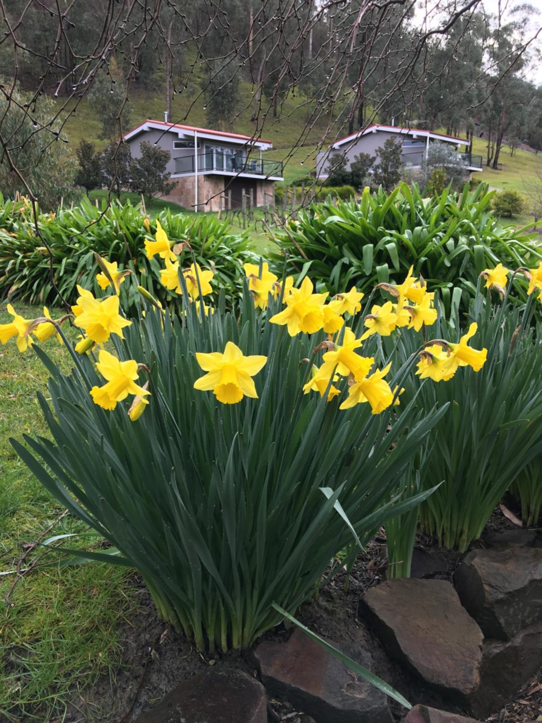 Araluen Lodge Yarra Valley