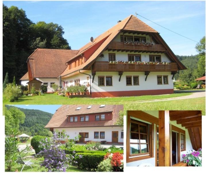 Hof hinter der Mühle