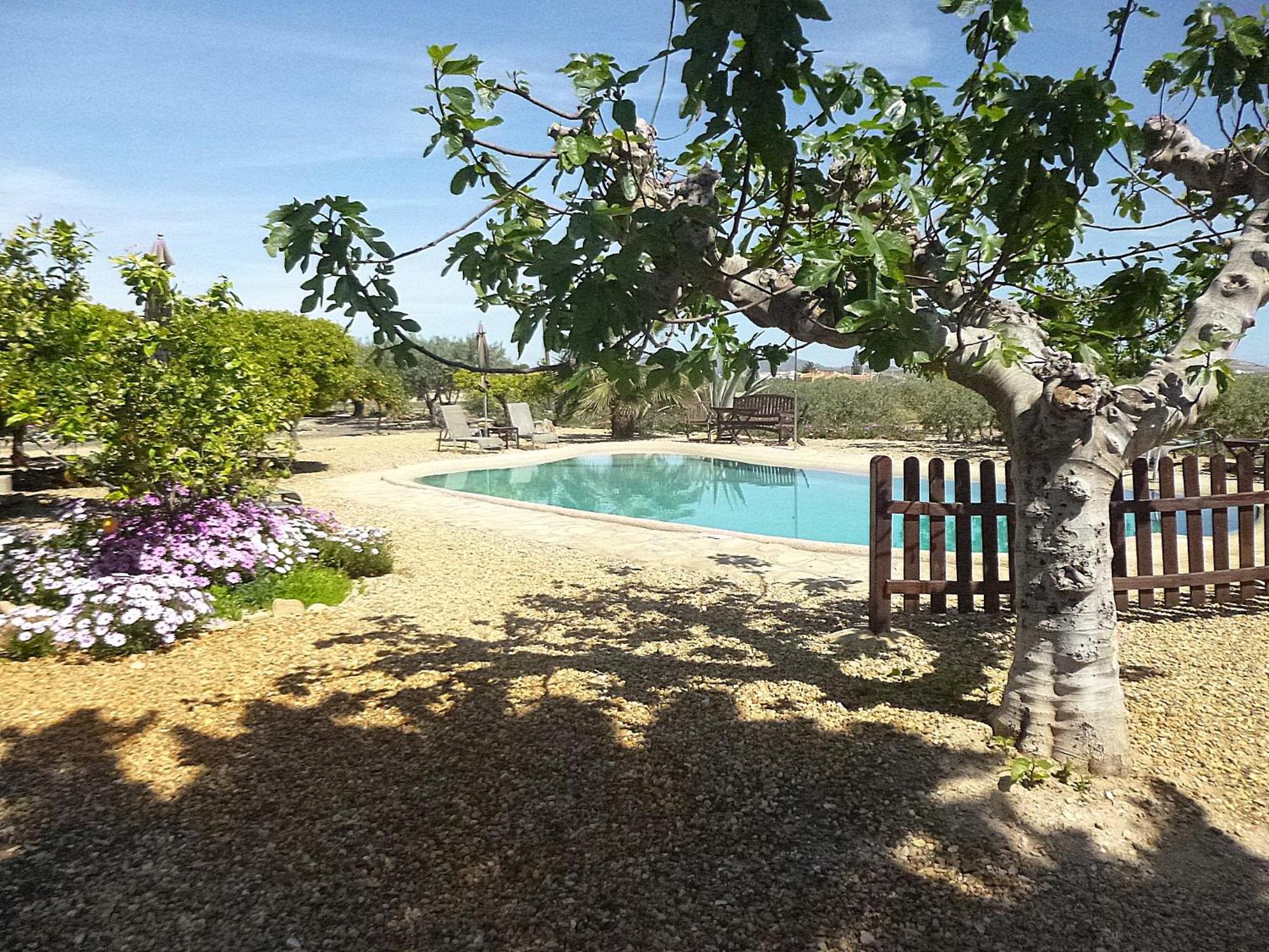 Finca Arboleda view 3