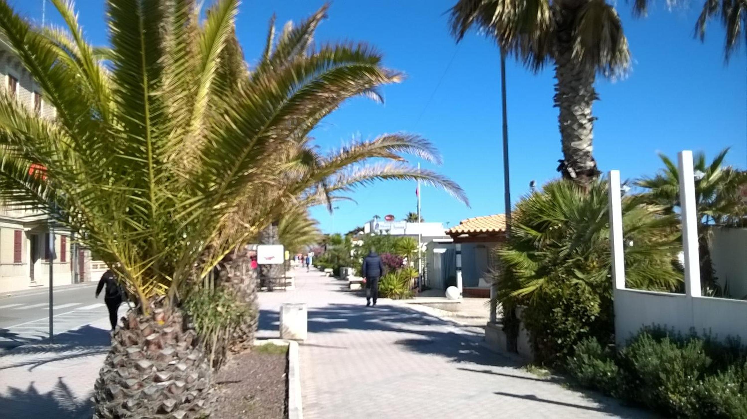 Photo 46