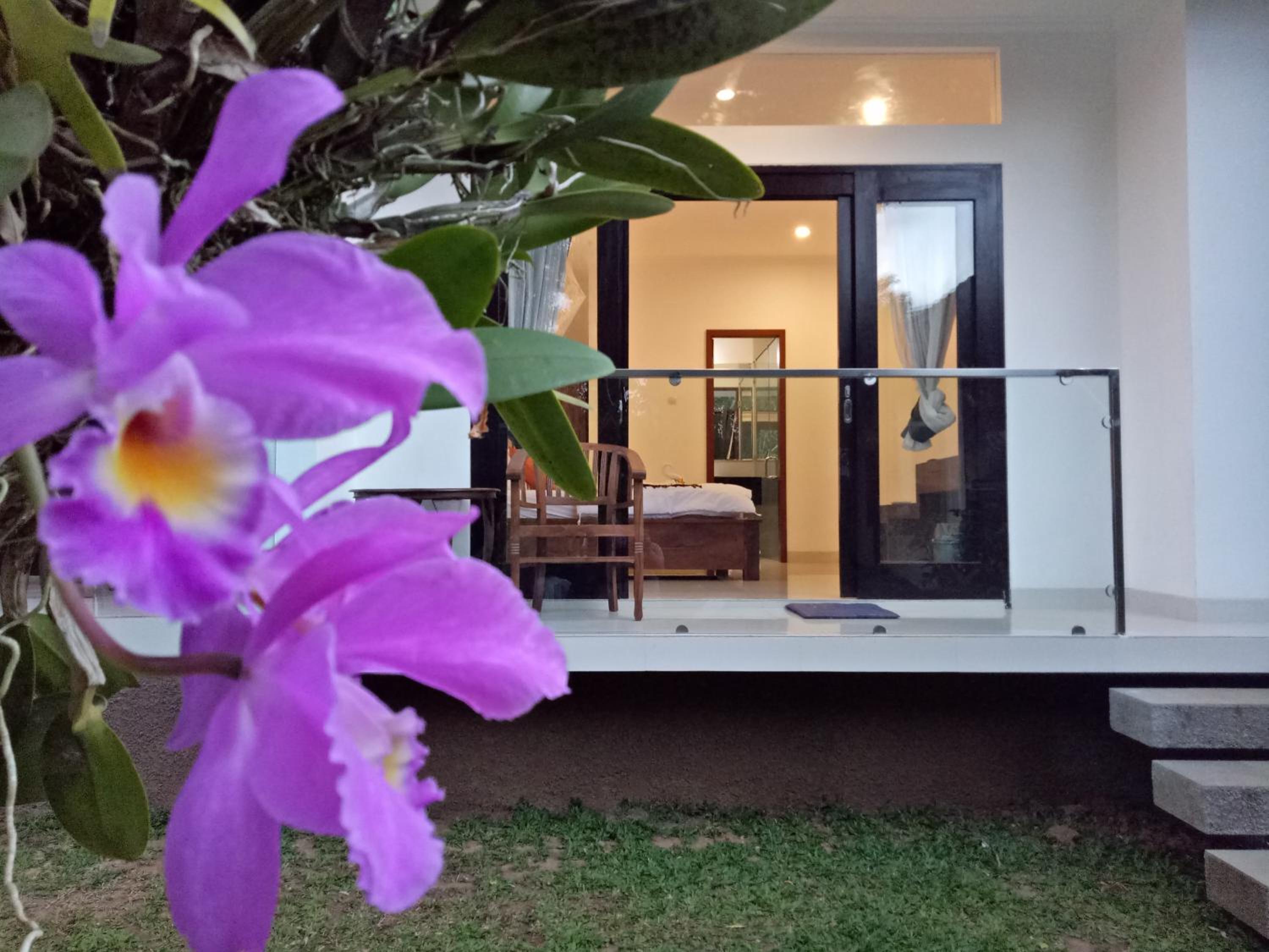 LeGong Guesthouse