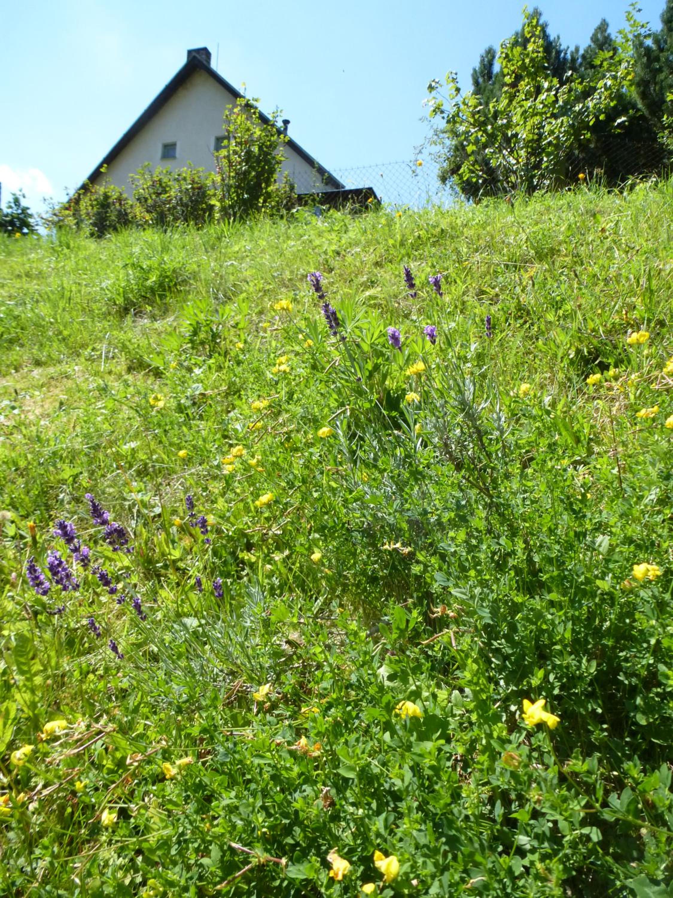 Ubytování Lyžařská škola