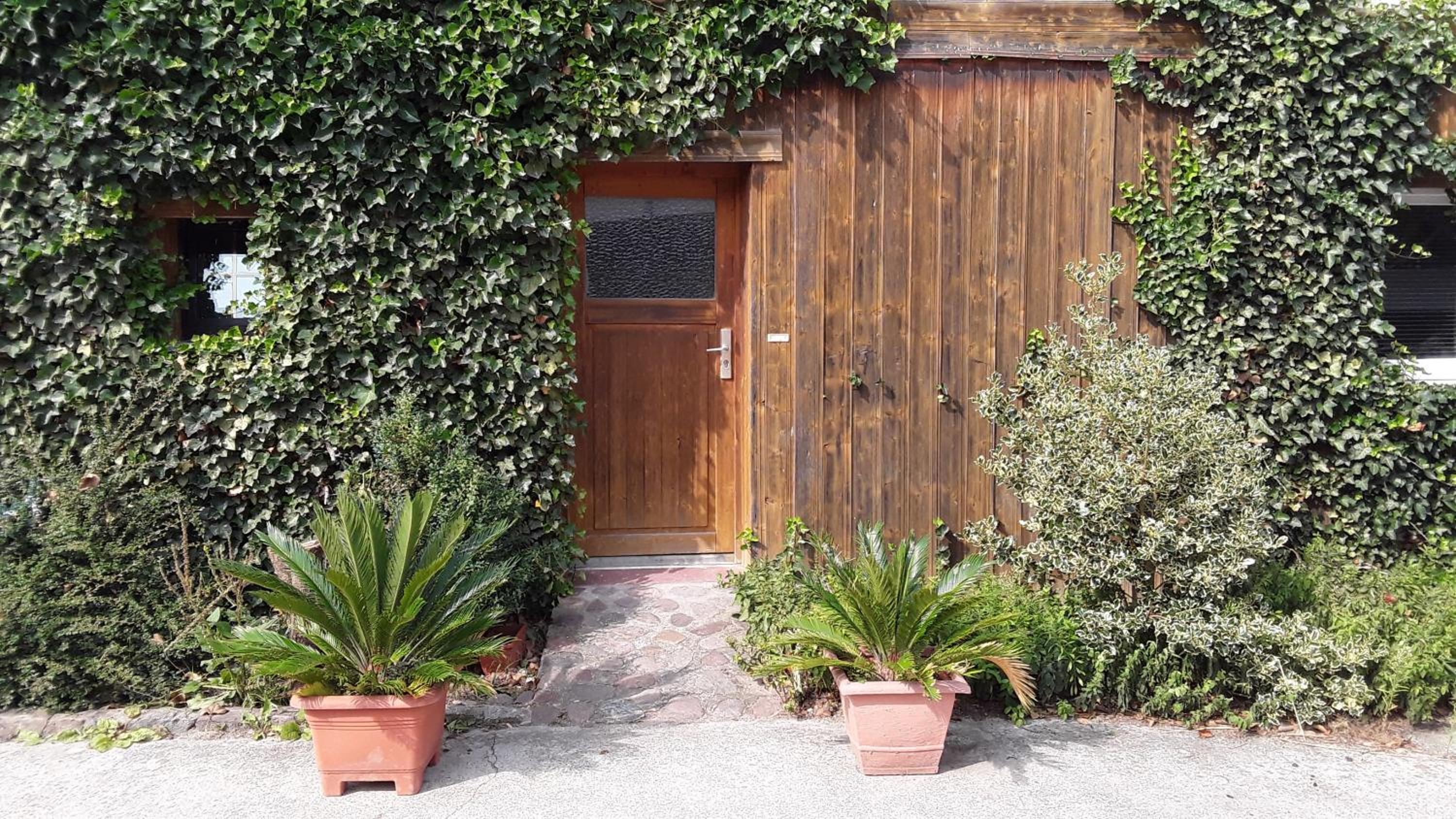 Pension Sommer Locktow - Property Image 17