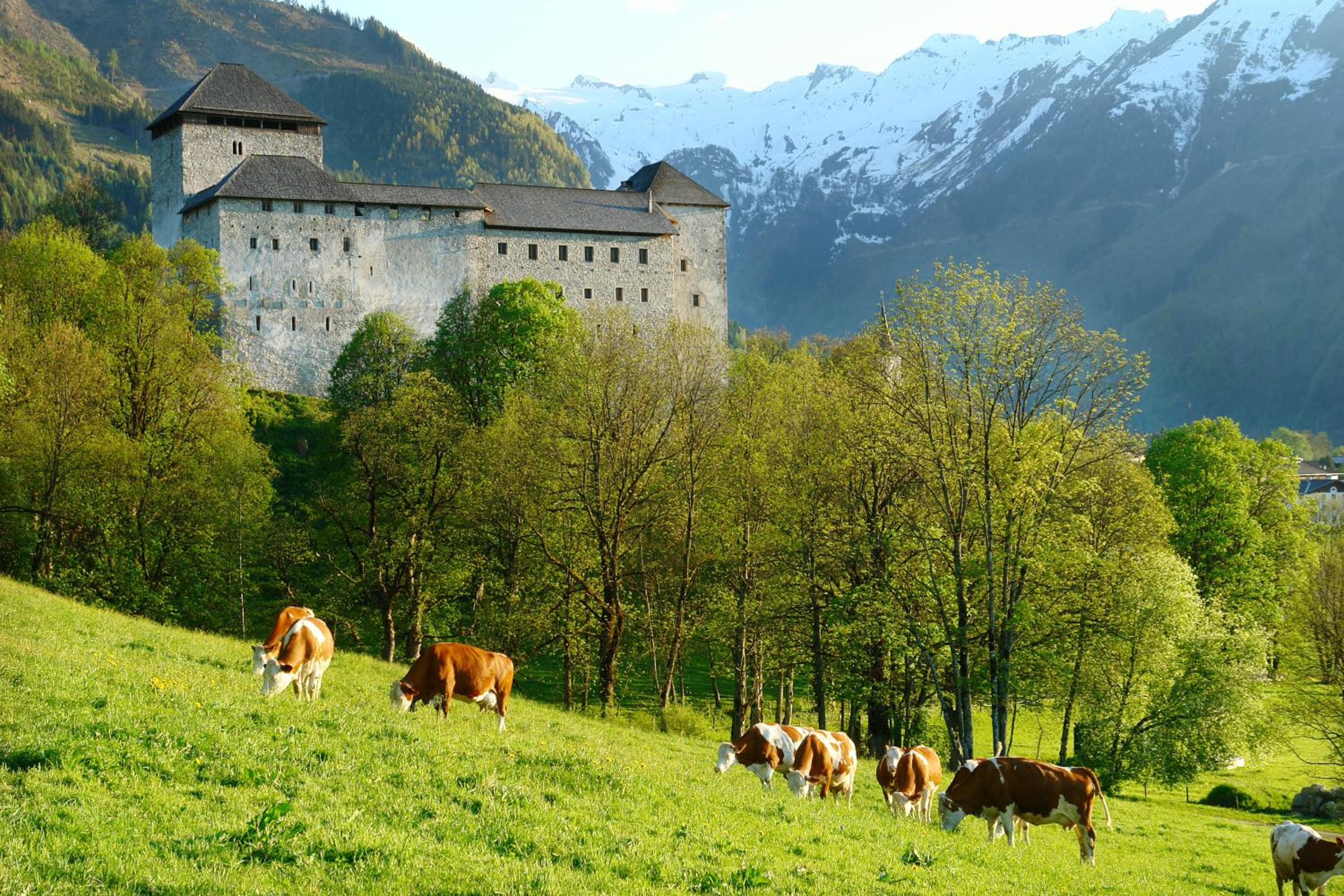 Simone's Platzerl - inklusive täglichem freien Eintritt Tauern Spa - nur 5 Gehminuten, Sommerkarte, privatem Garten mit Schwimmteich, Grill und Saunabereic