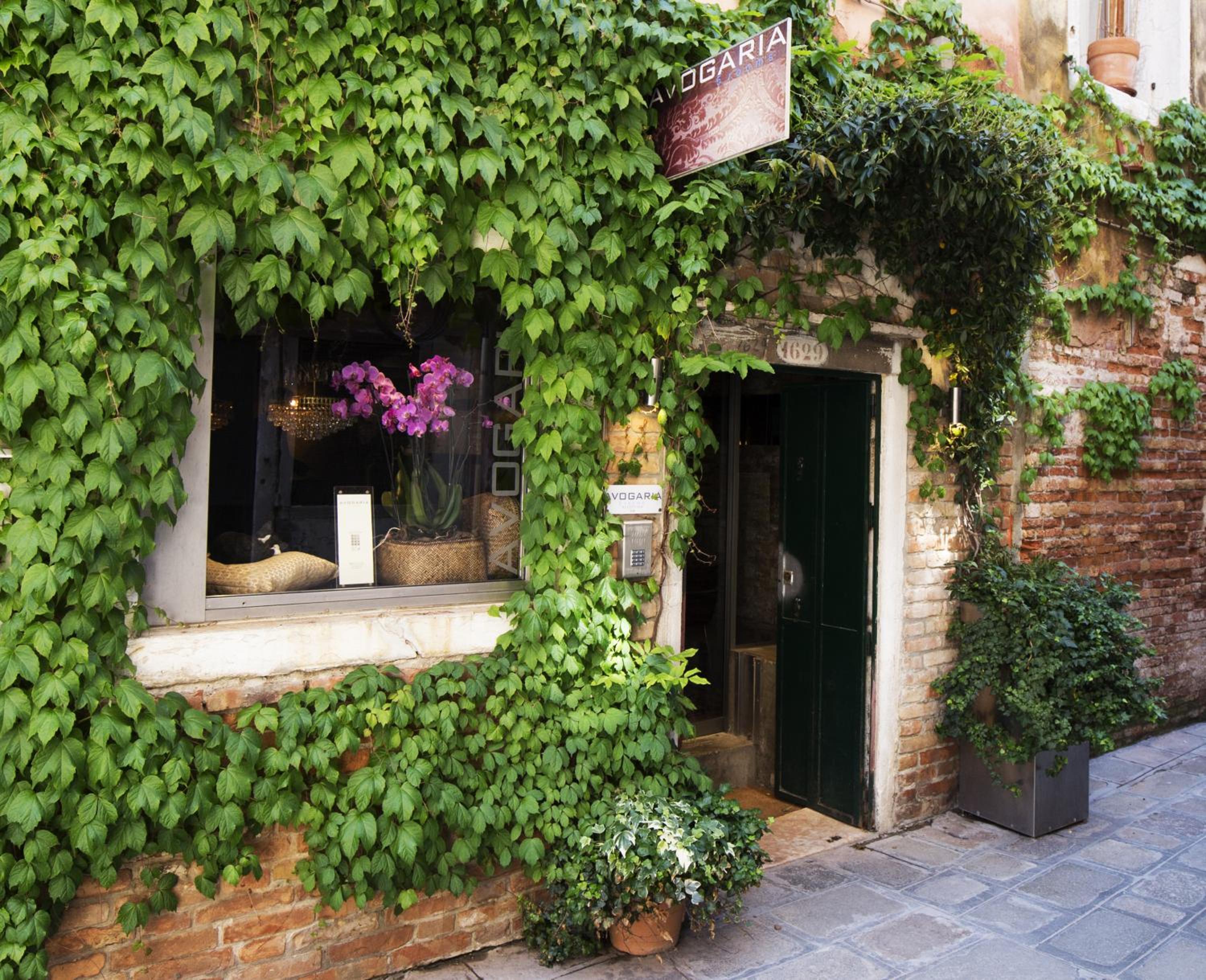 Avogaria 5 Rooms — Venice
