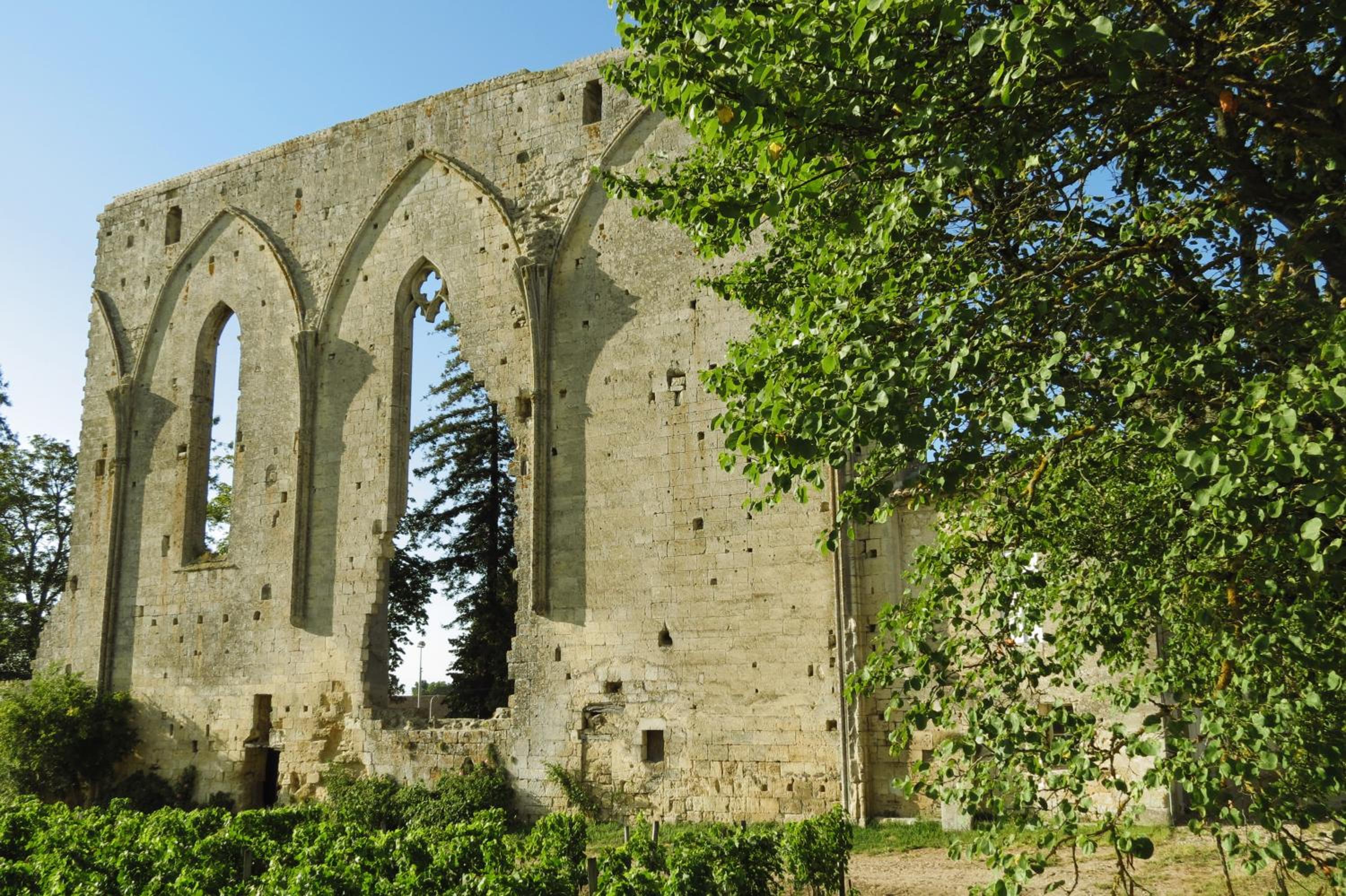 Photo 21