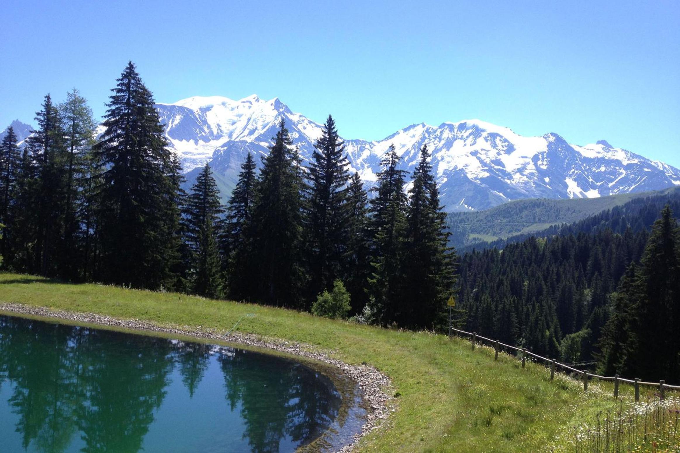 Les Jardins Alpins - Apartment, photo 38