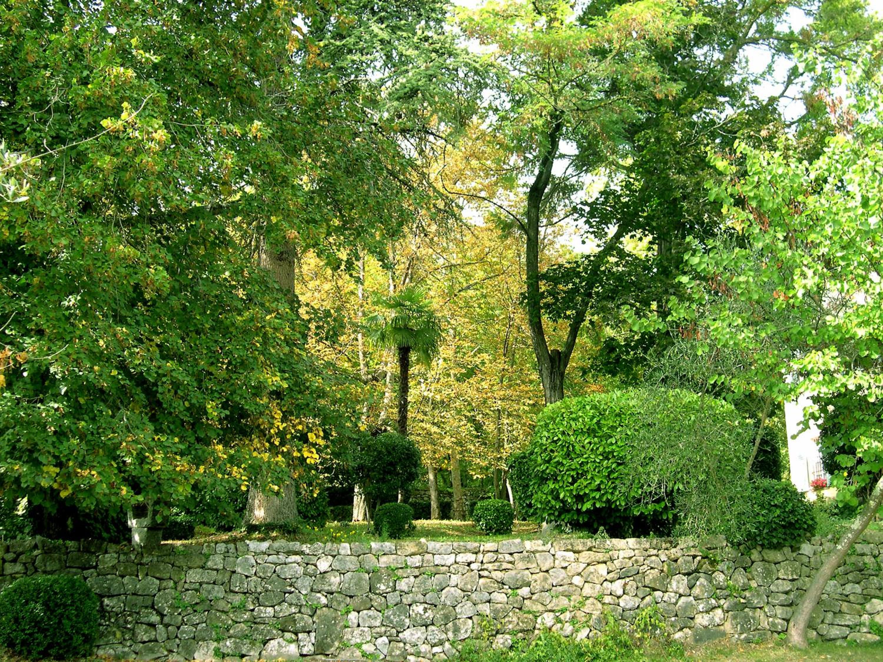 Photo 29