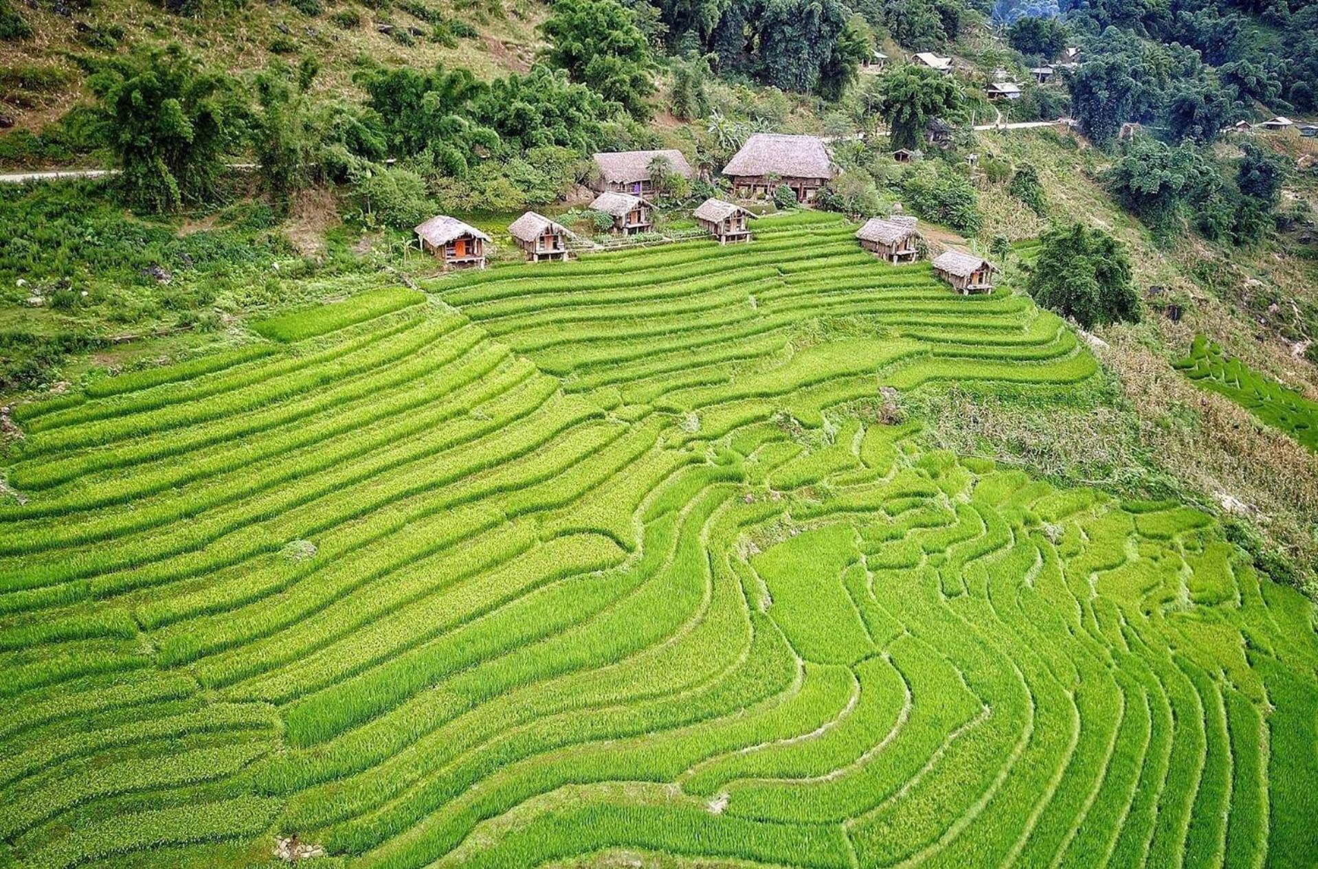 Eco Palms House - Sapa Retreat