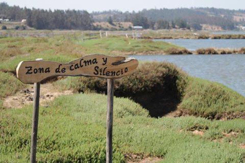 Cabañas Don Dago