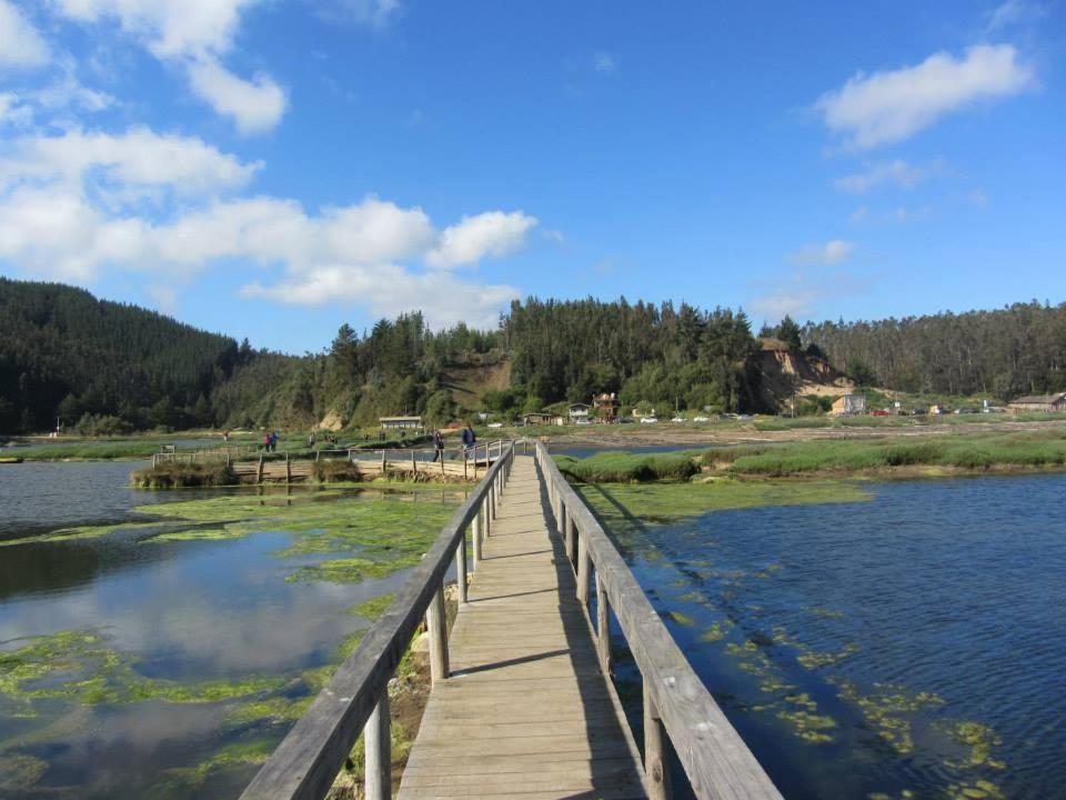 Cabañas Don Dago