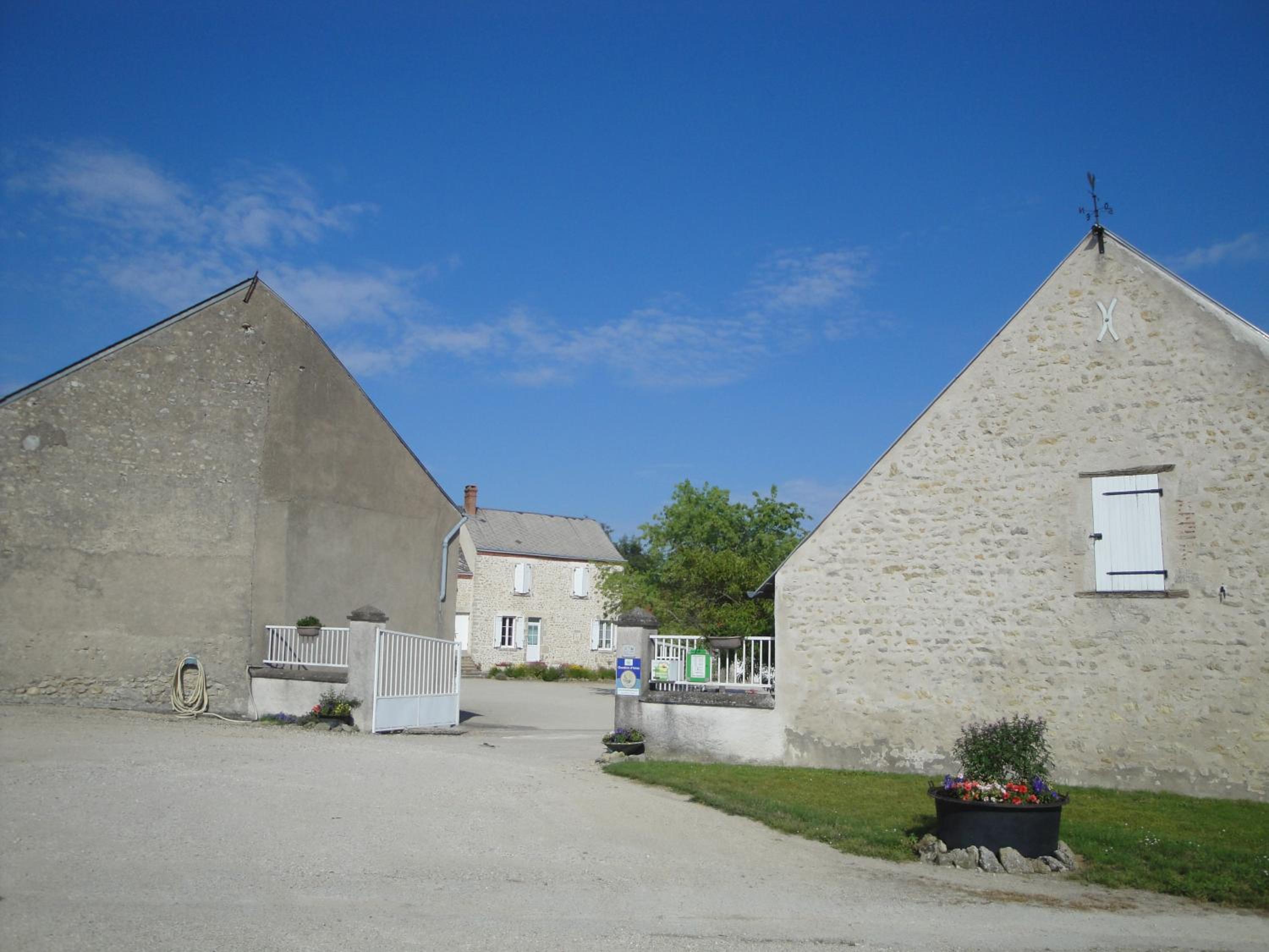 Photo 6