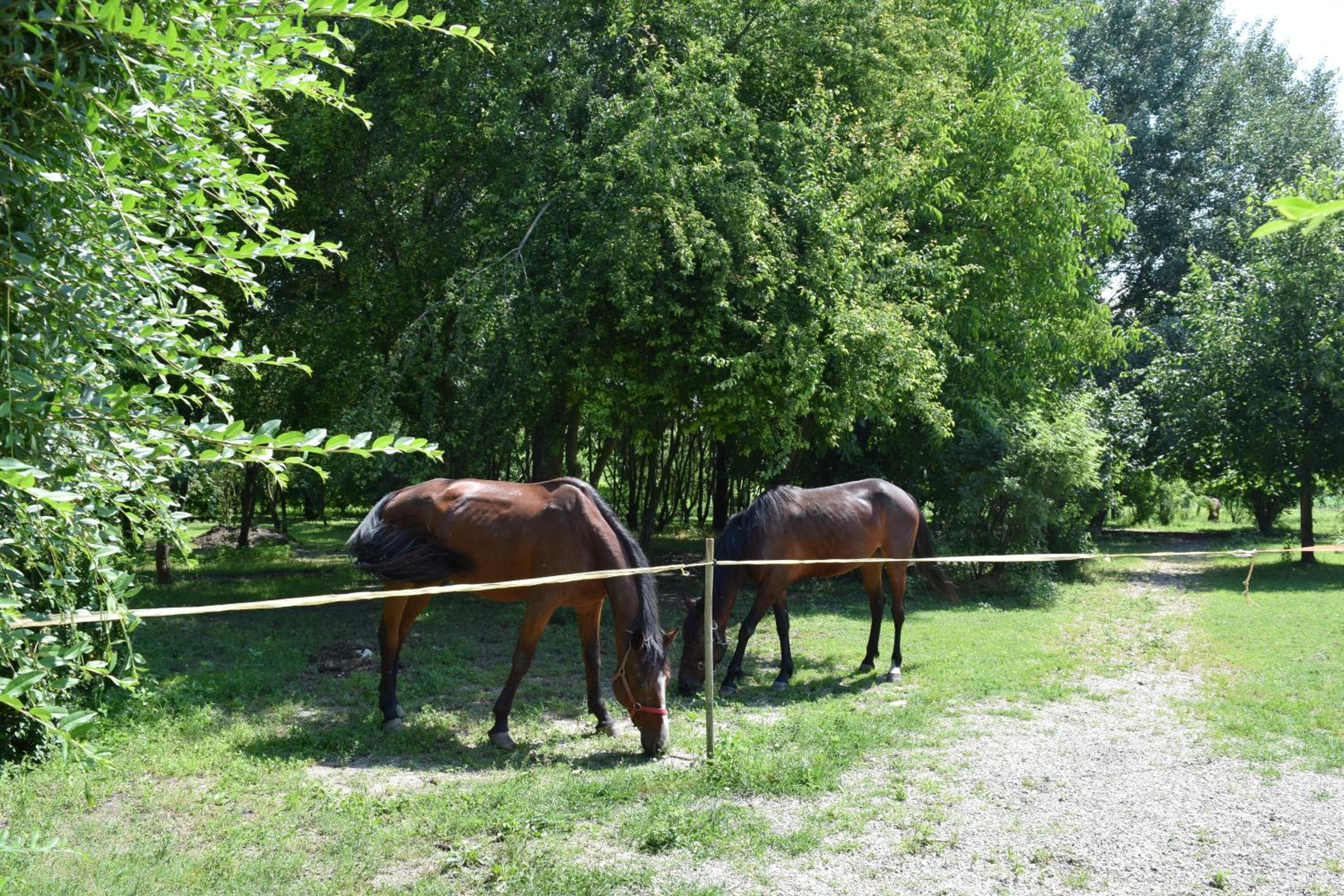 Agriturismo Tre Rondini