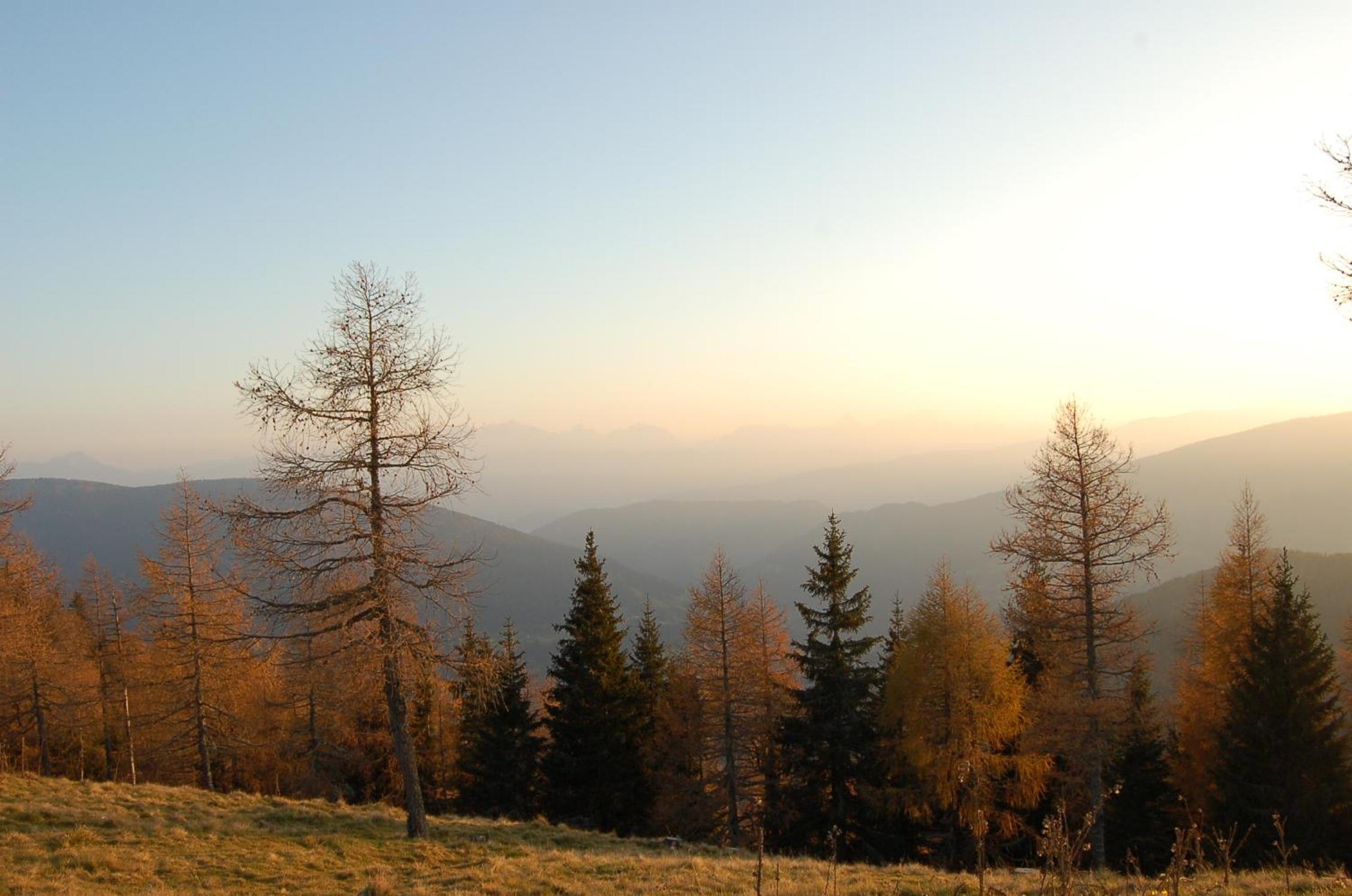 Walcherhof