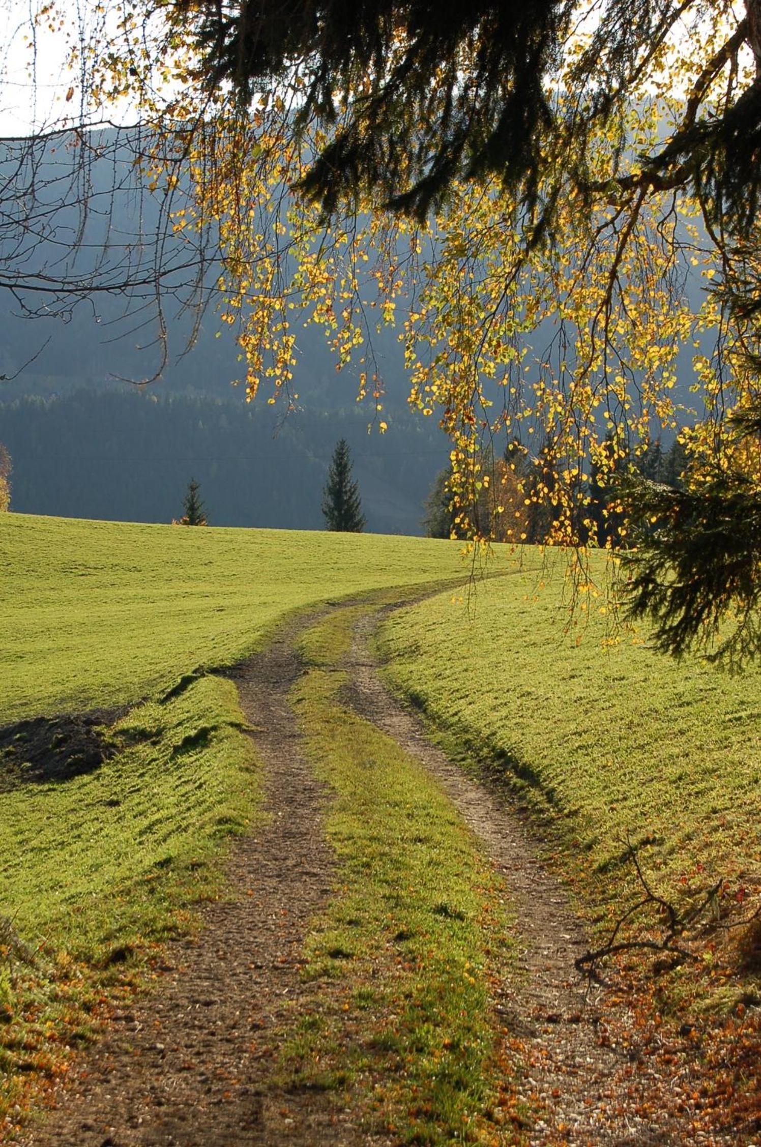 Walcherhof