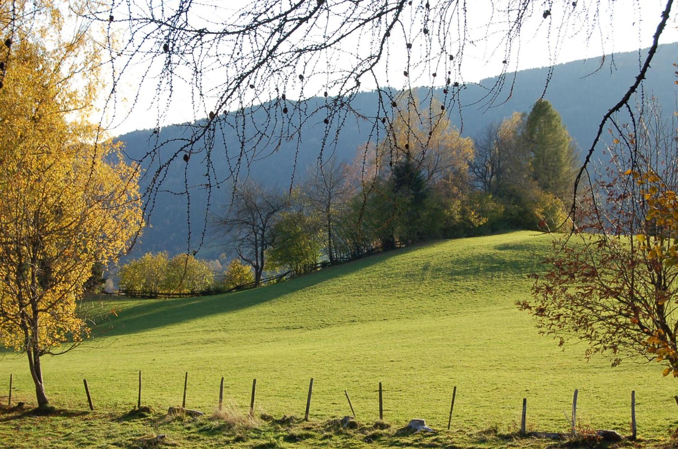Walcherhof
