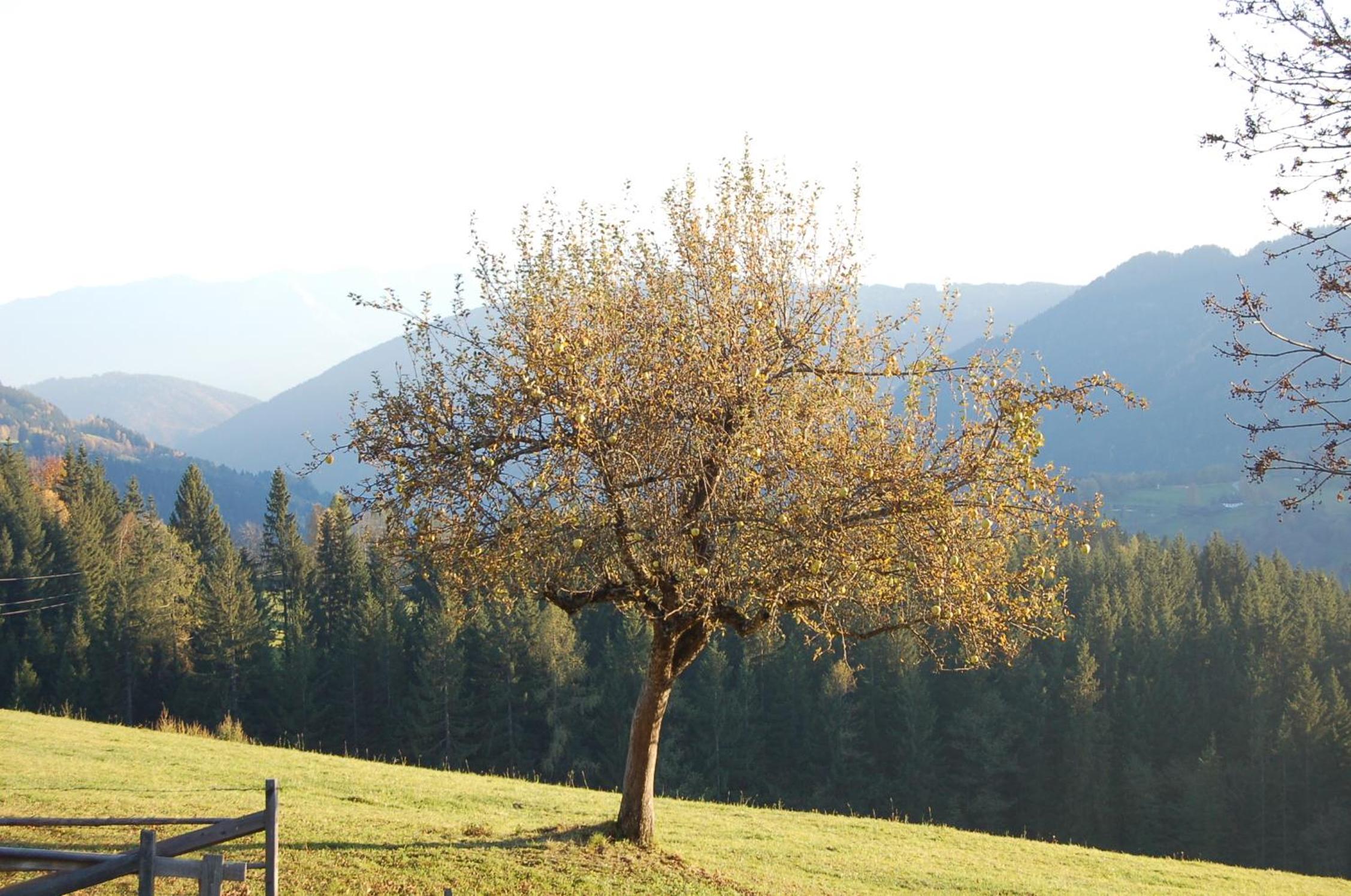 Walcherhof