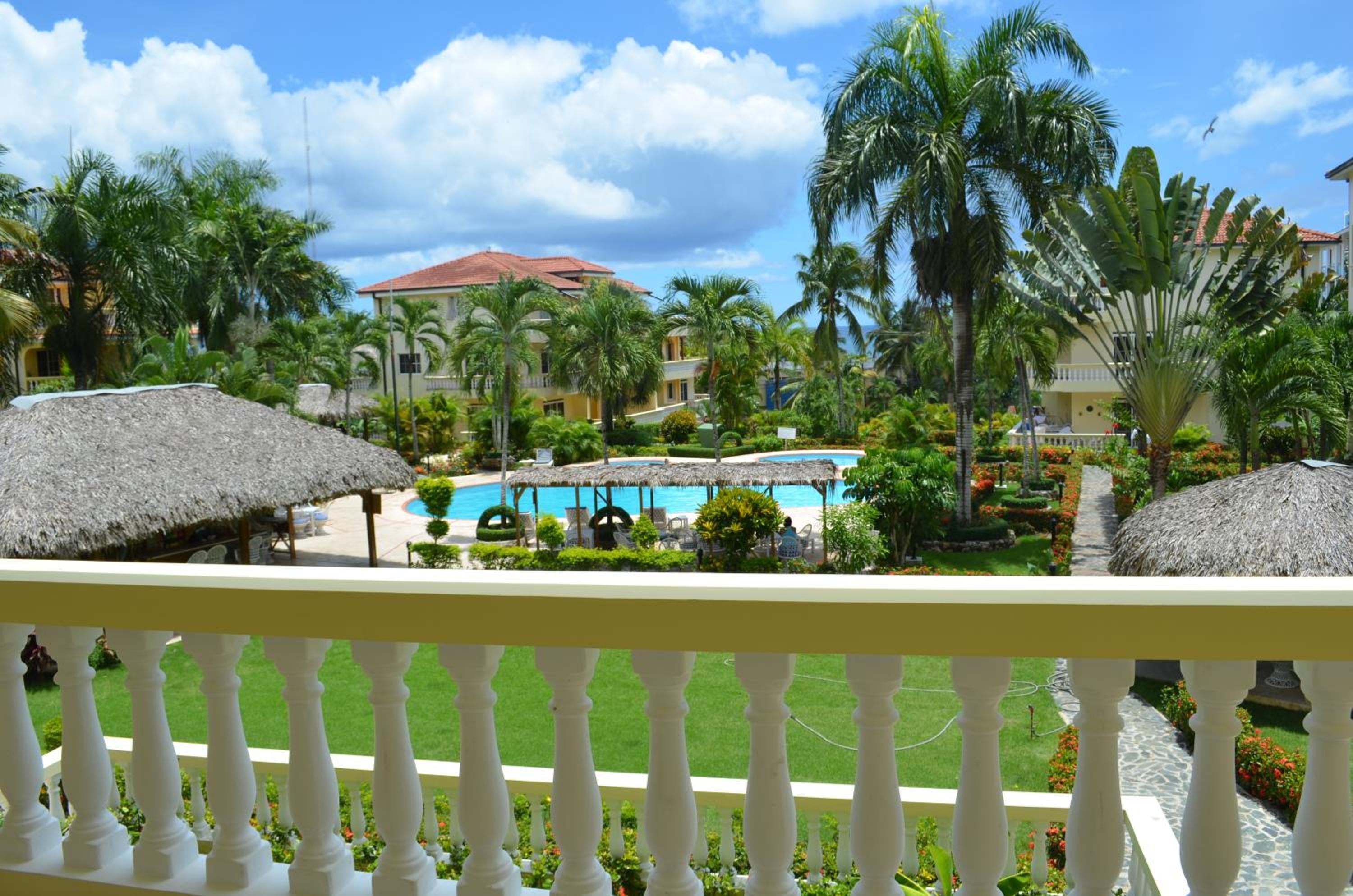 Las Palmeras RIKI R view 4
