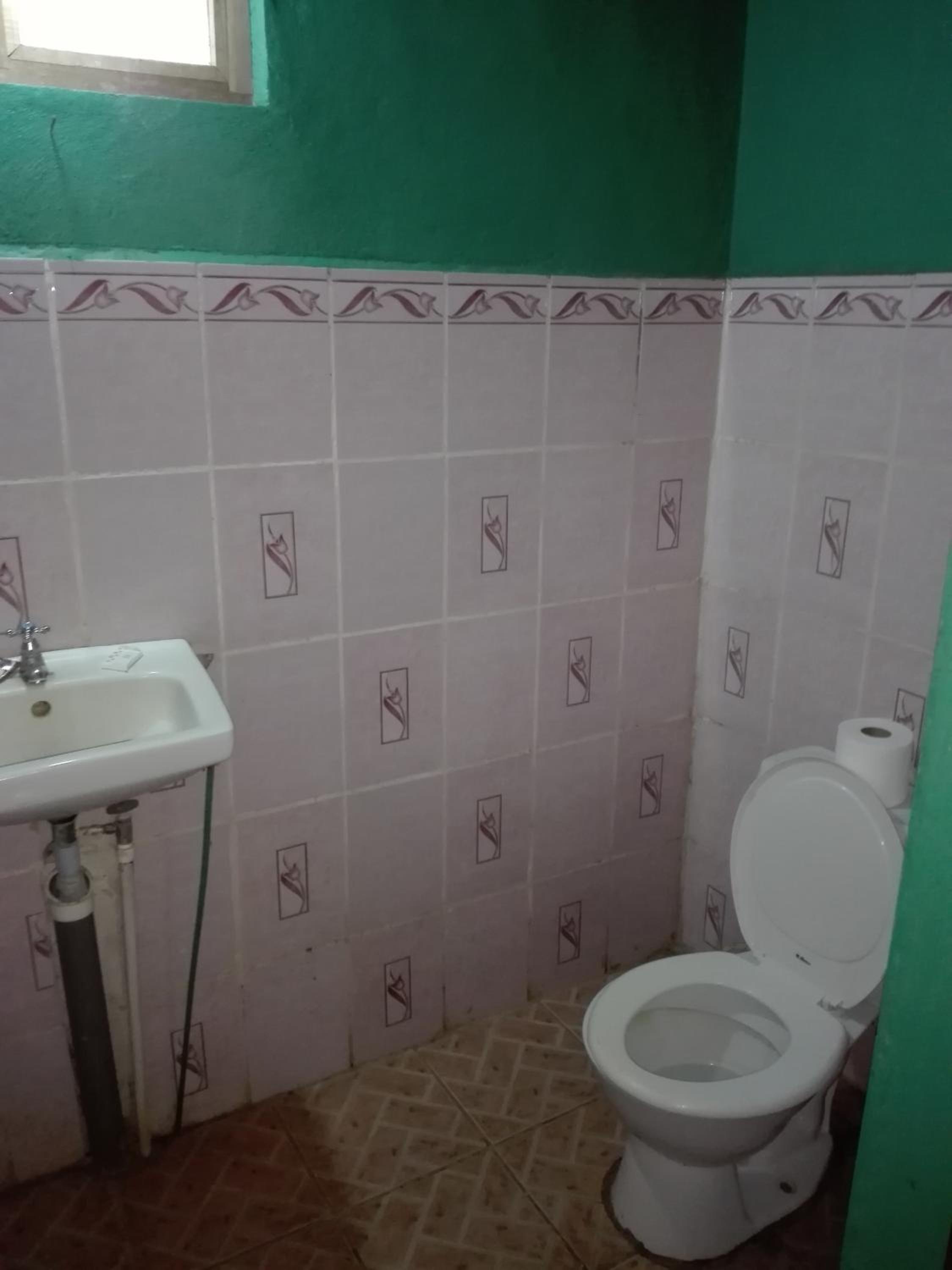 Photo 46