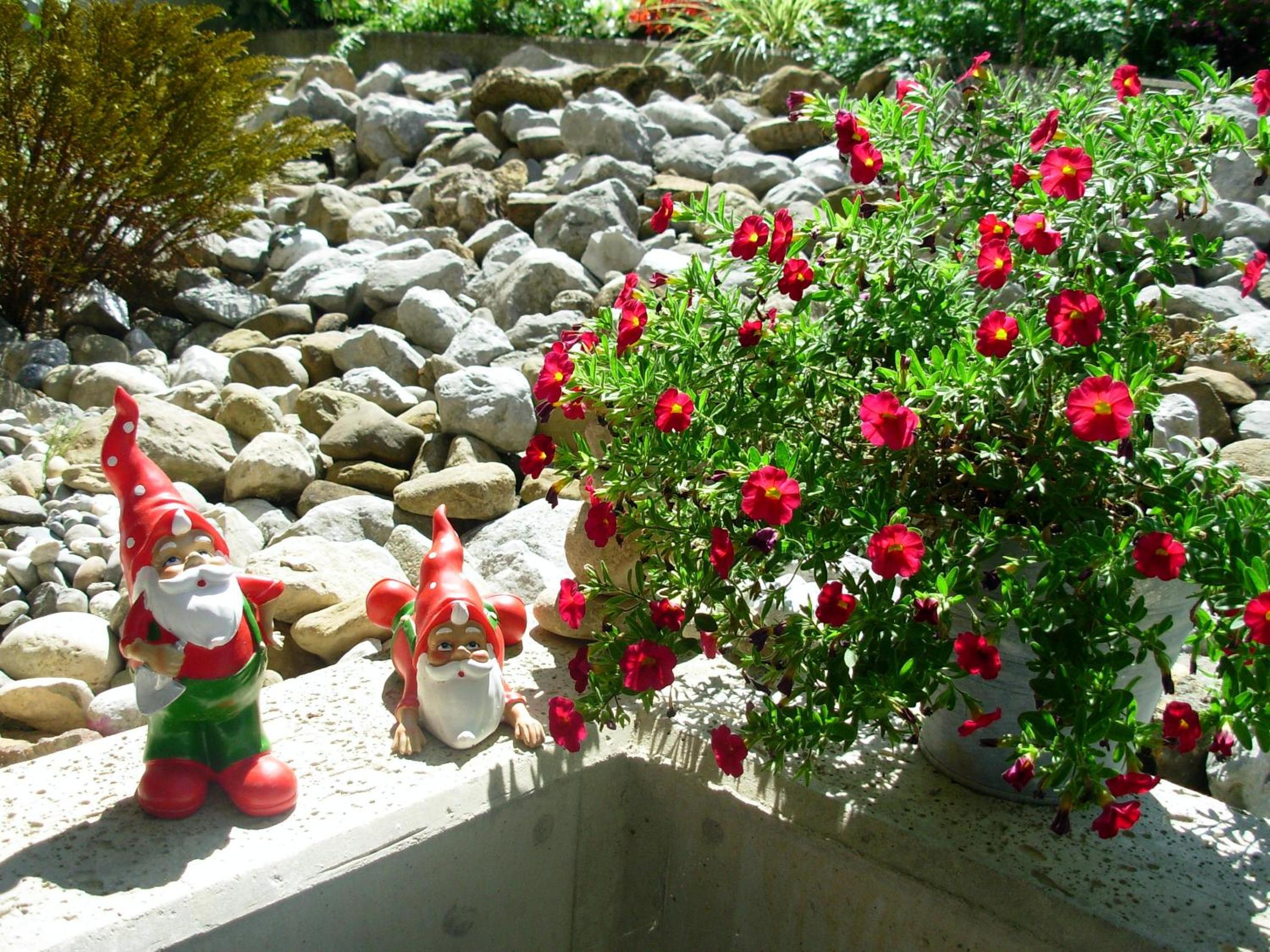 Photo 38