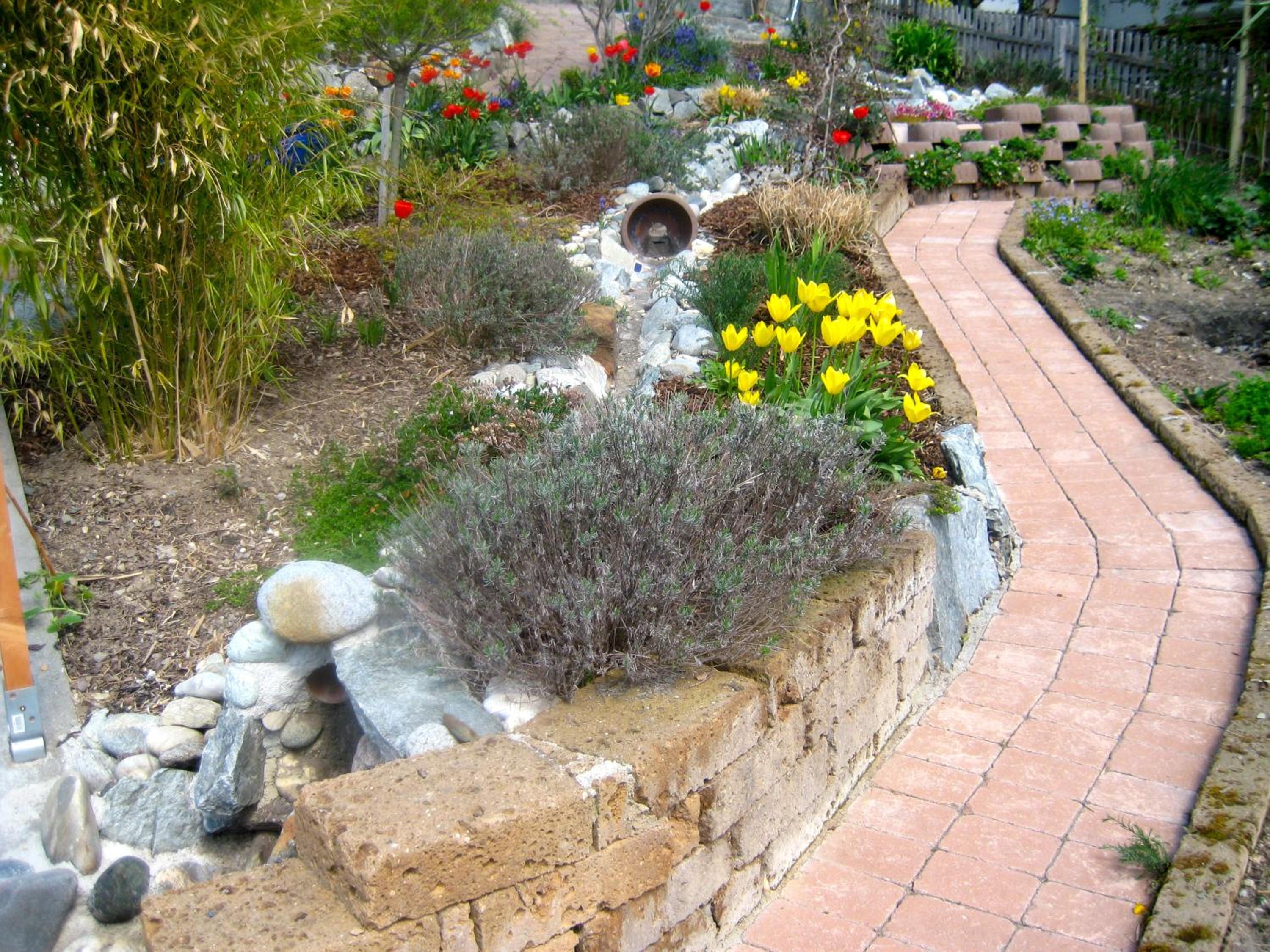 Photo 6