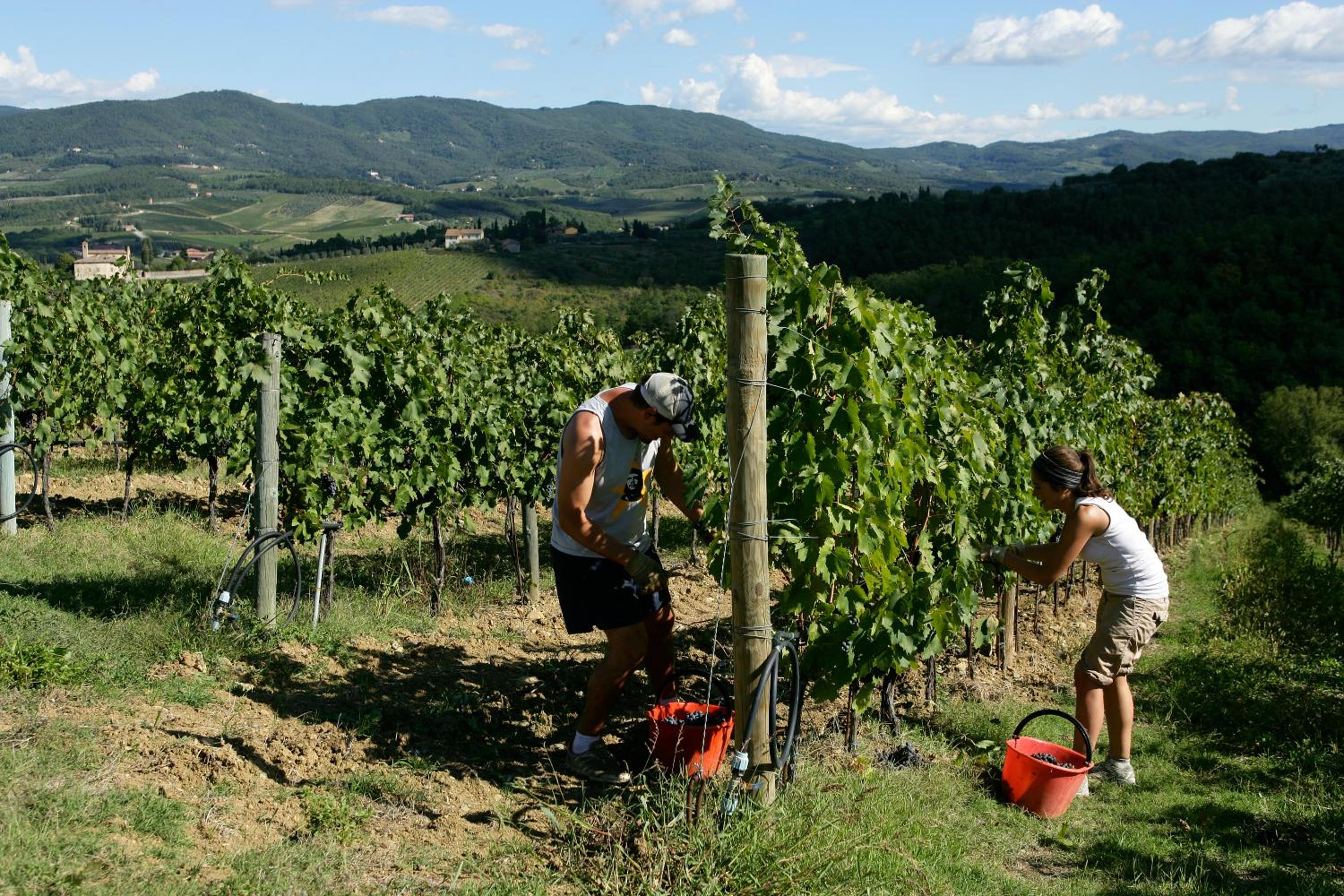 Castello Di Gabbiano