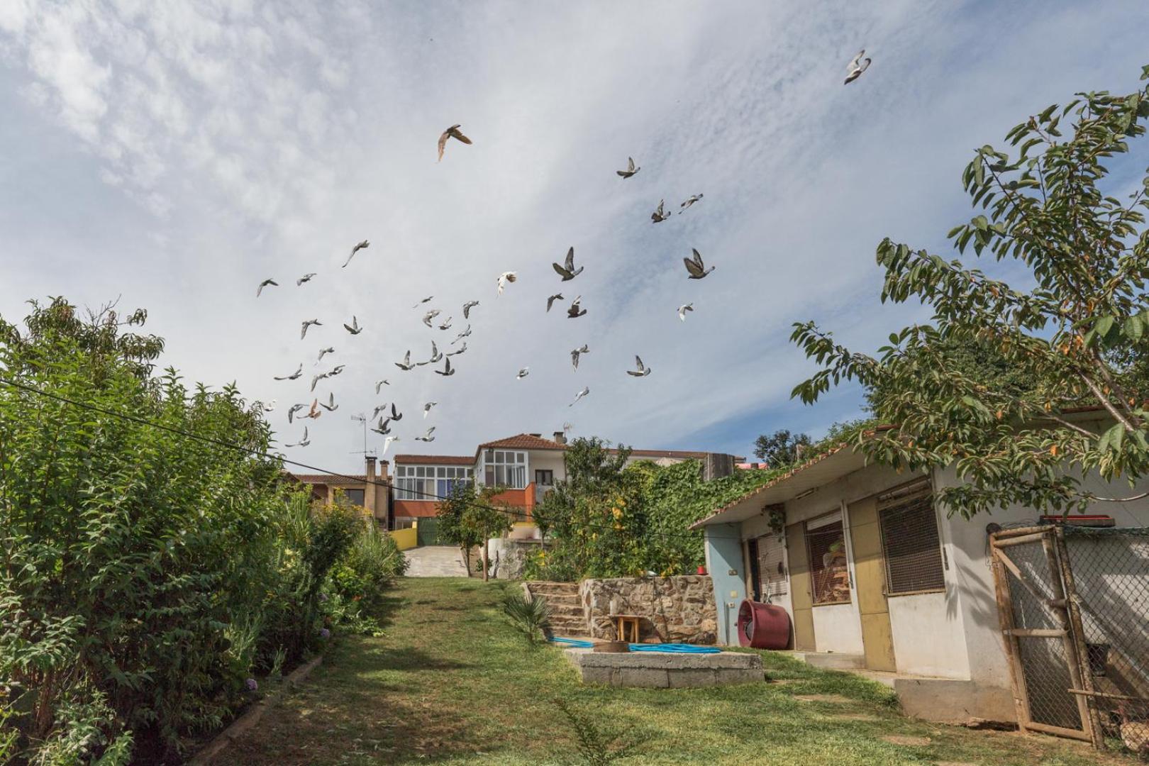 Casa do Campo AL, photo 60