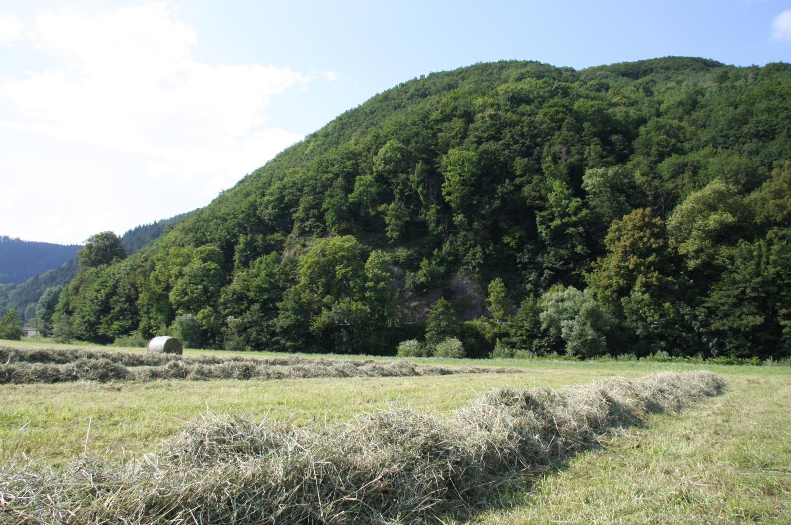 Hof hinter der Mühle