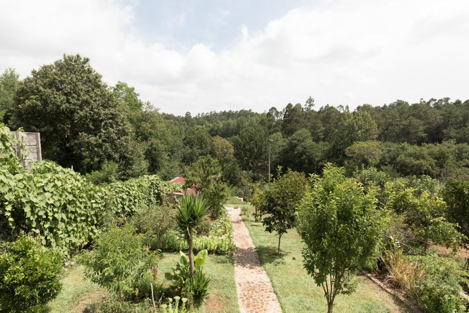 Casa do Campo AL, photo 38