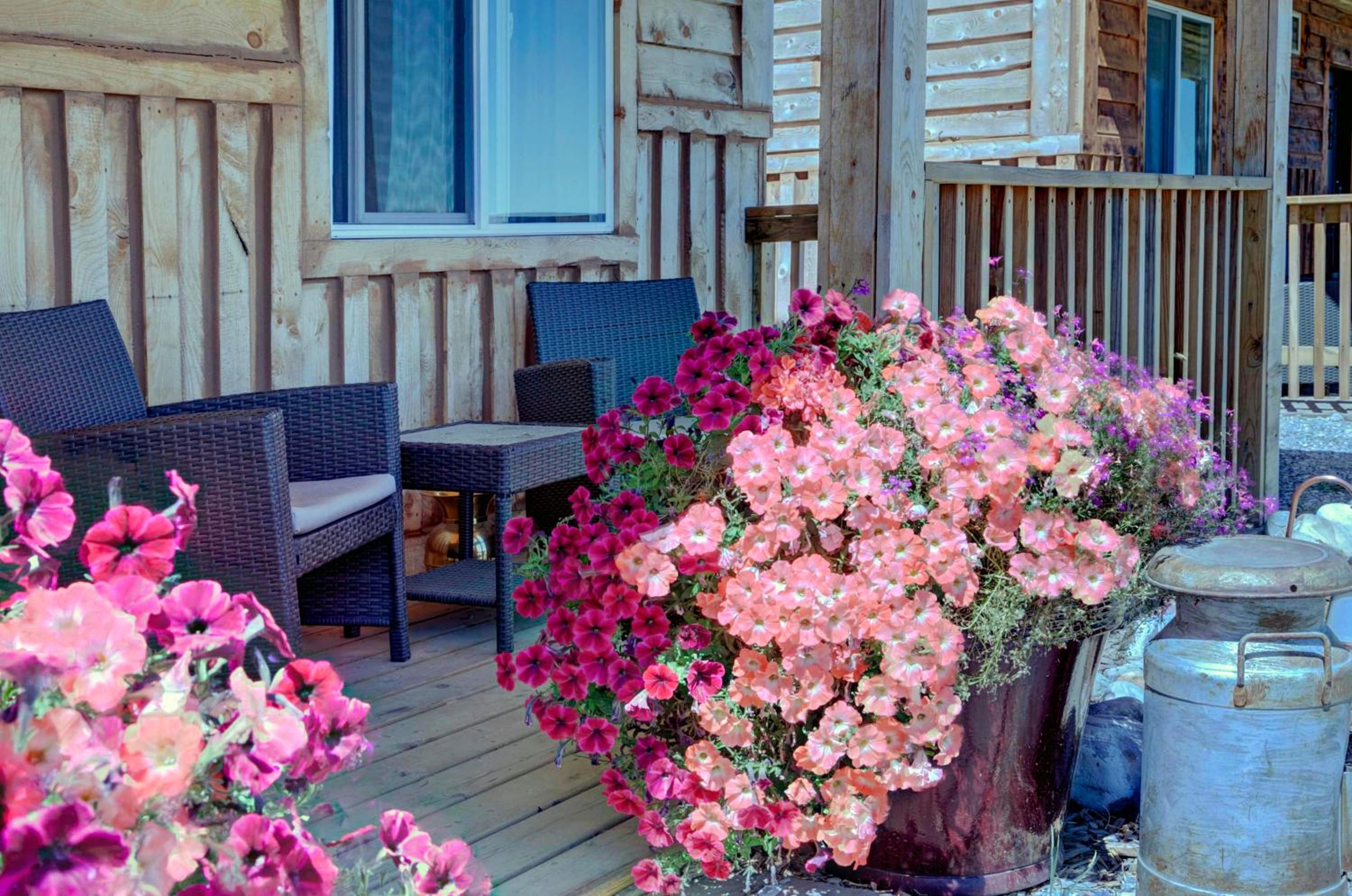 Mountain Haven Cabins