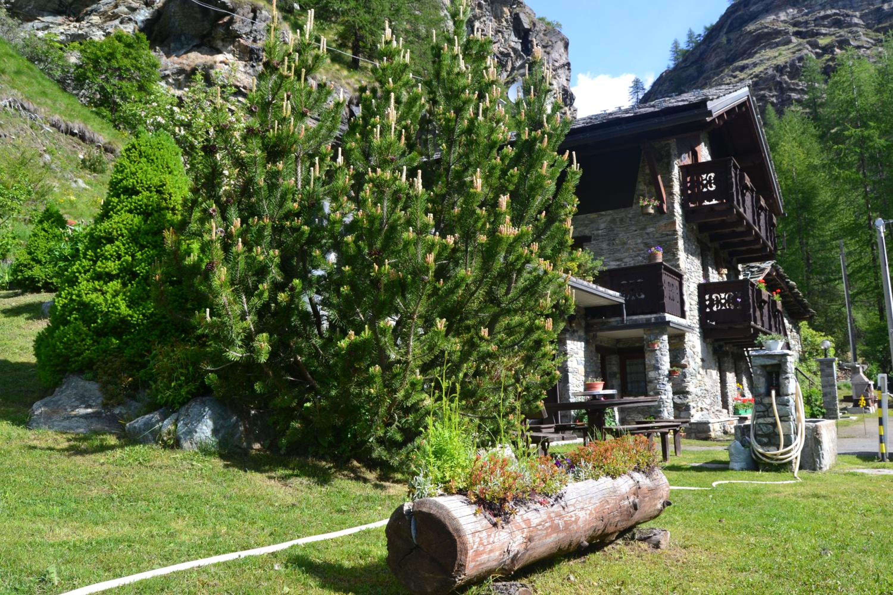 Photo 52