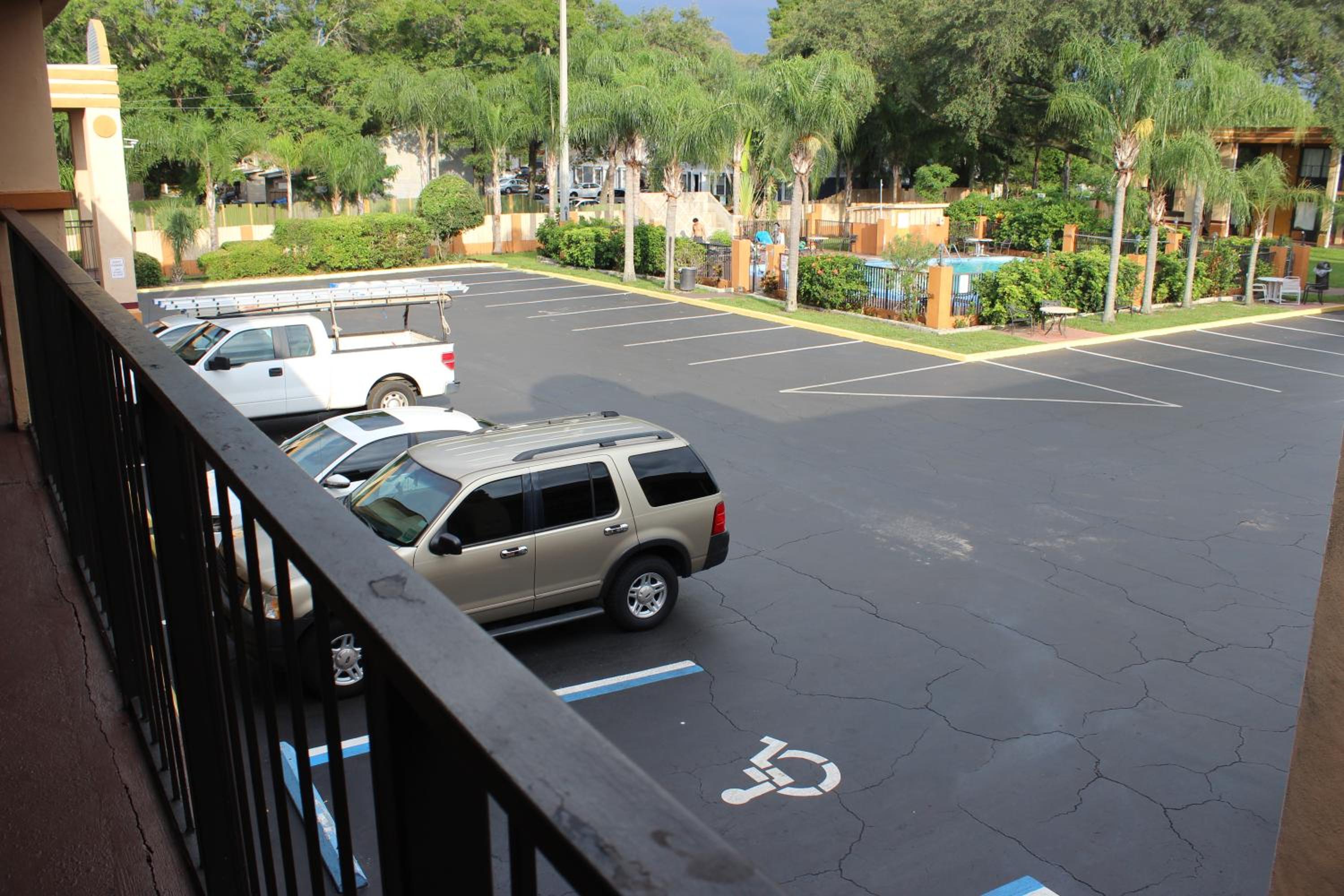 Tampa Inn Near Busch Gardens, Billede 36