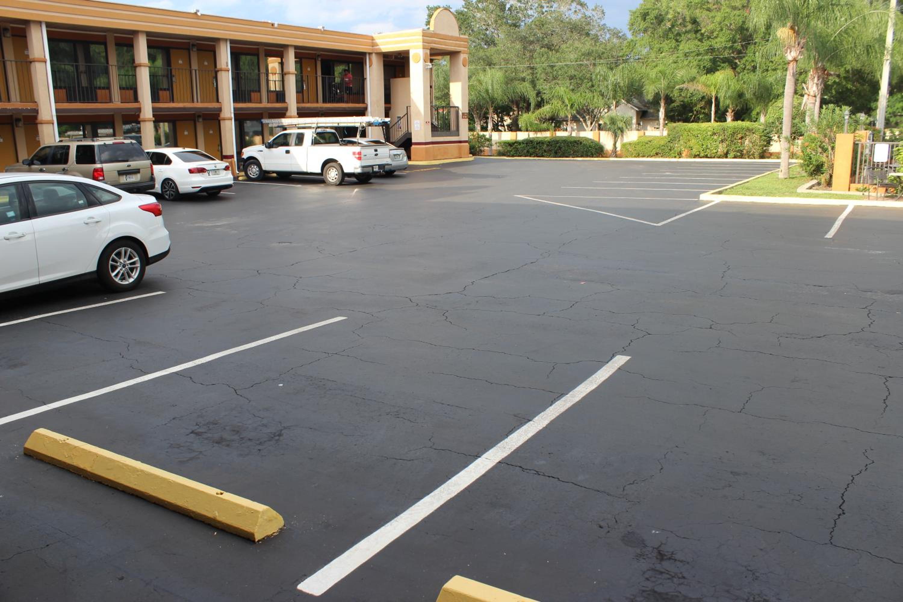 Tampa Inn Near Busch Gardens, Billede 11
