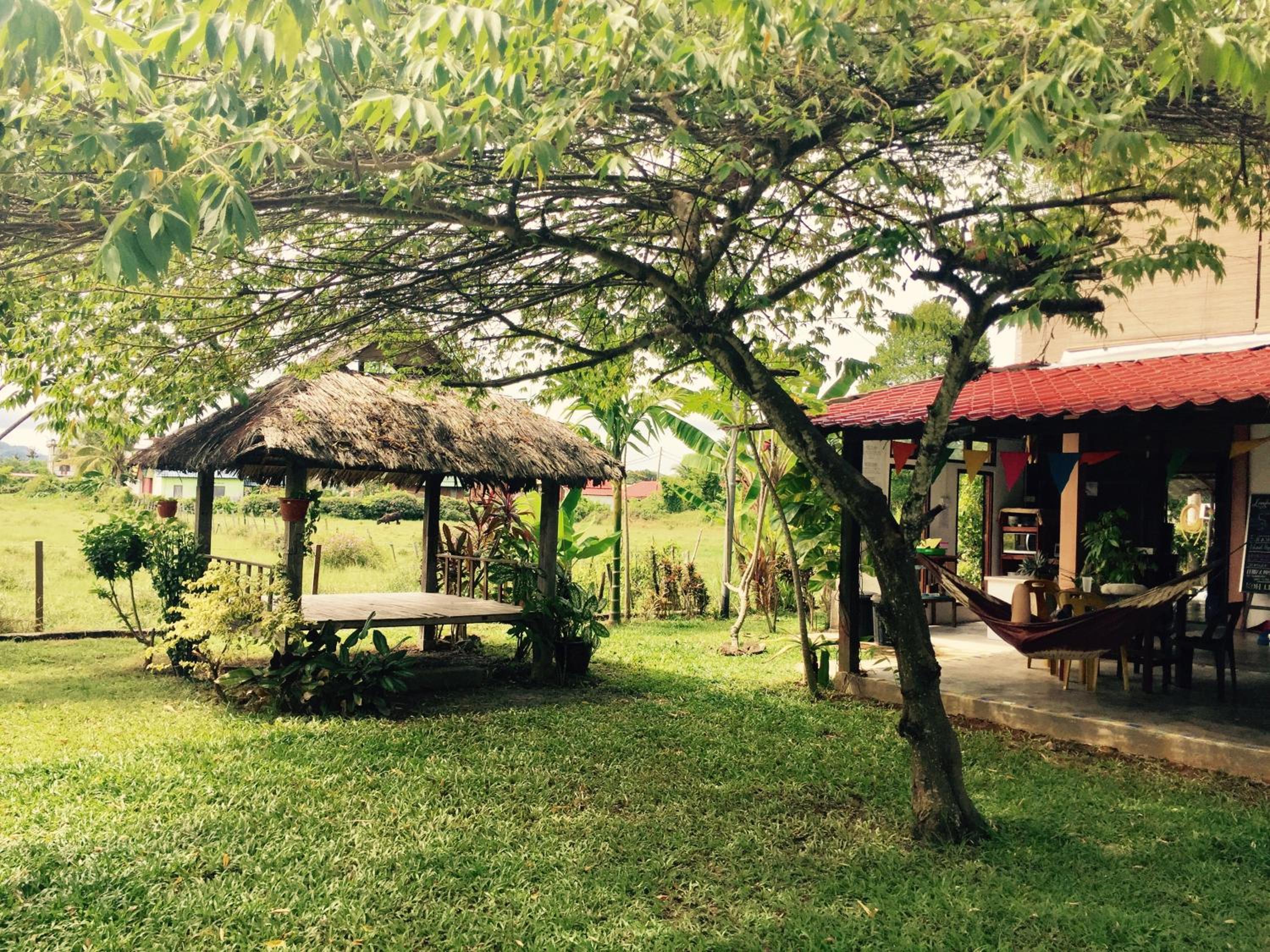 Kota Kinabalu Vacations - Soluna Guest House - Property Image 138