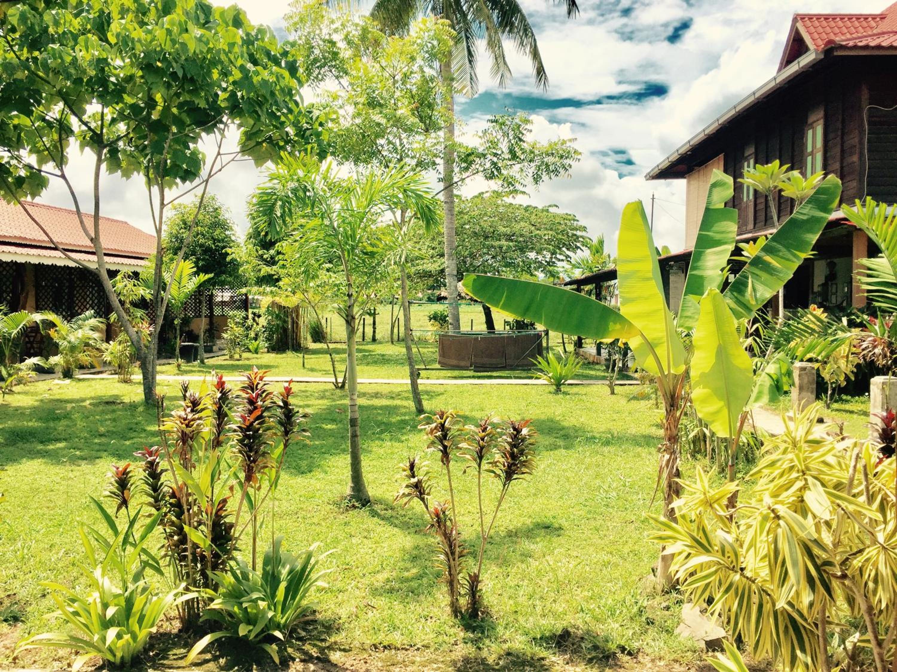 Kota Kinabalu Vacations - Soluna Guest House - Property Image 99