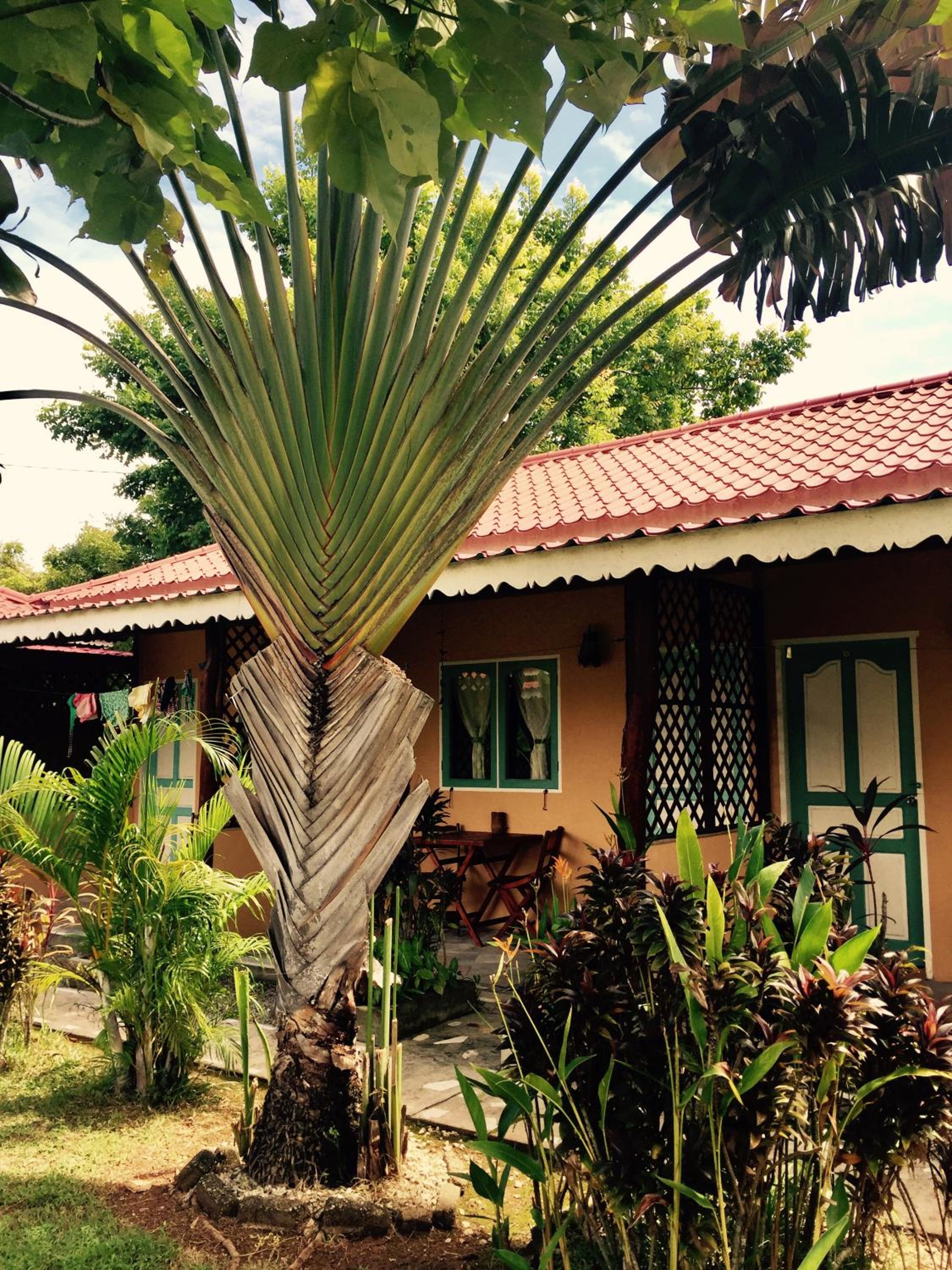 Kota Kinabalu Vacations - Soluna Guest House - Property Image 142