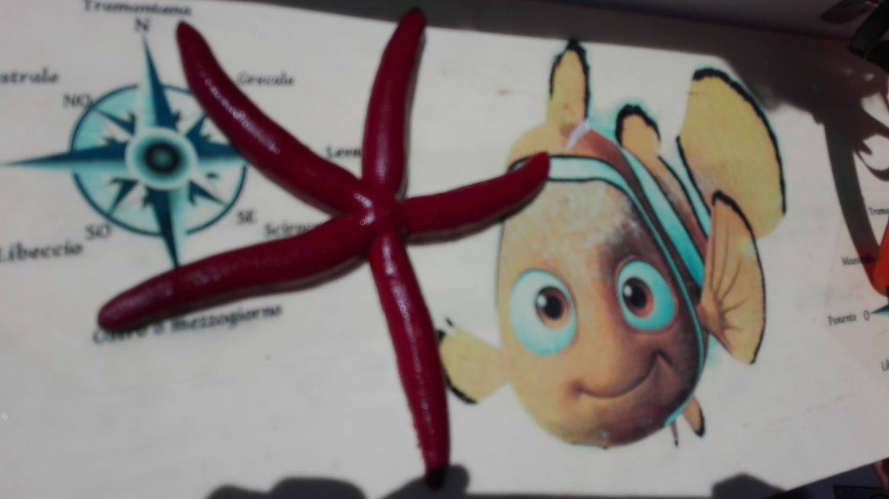 Nemo mare en Noto Marina — other