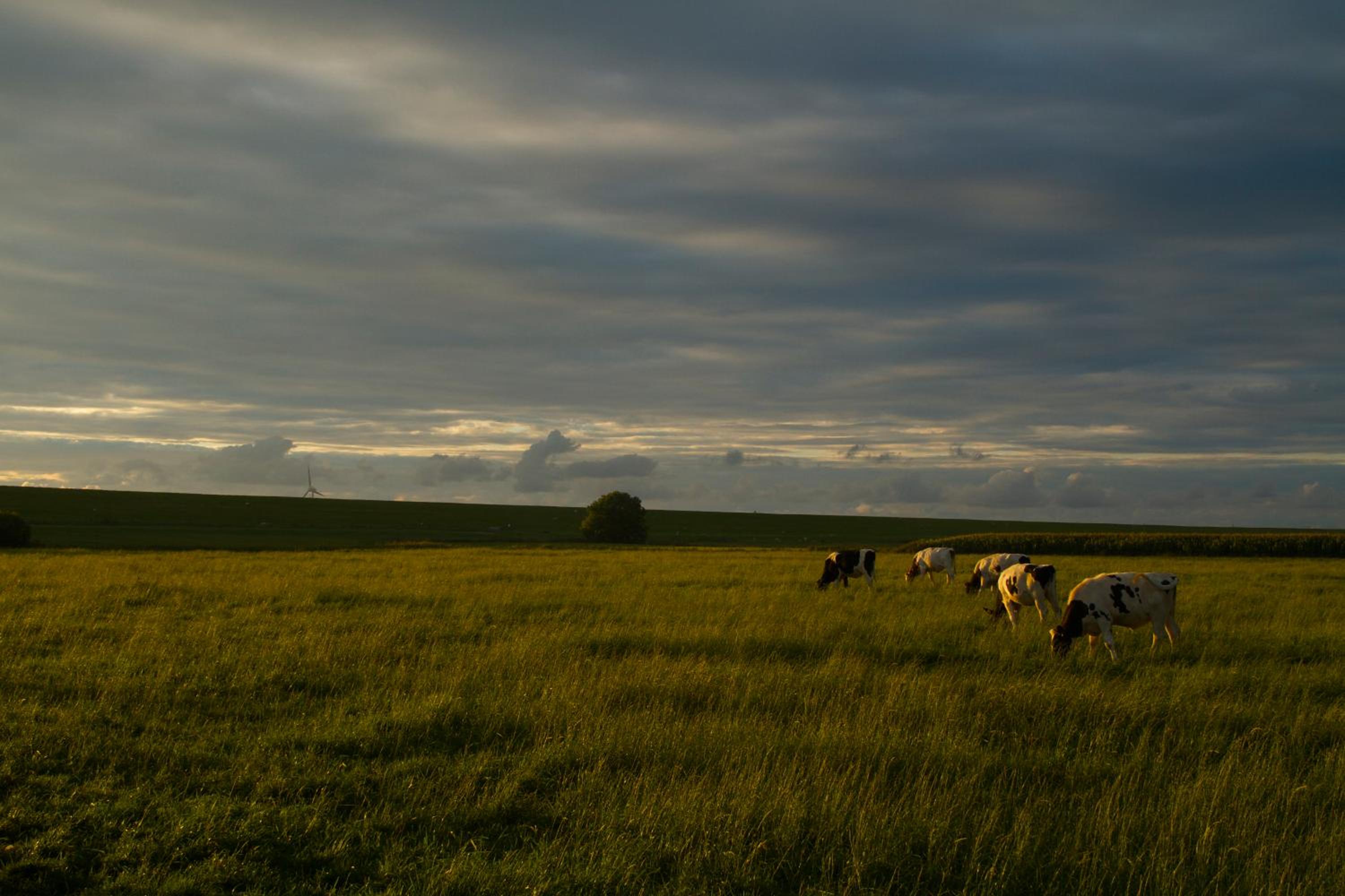 Haus Horizont