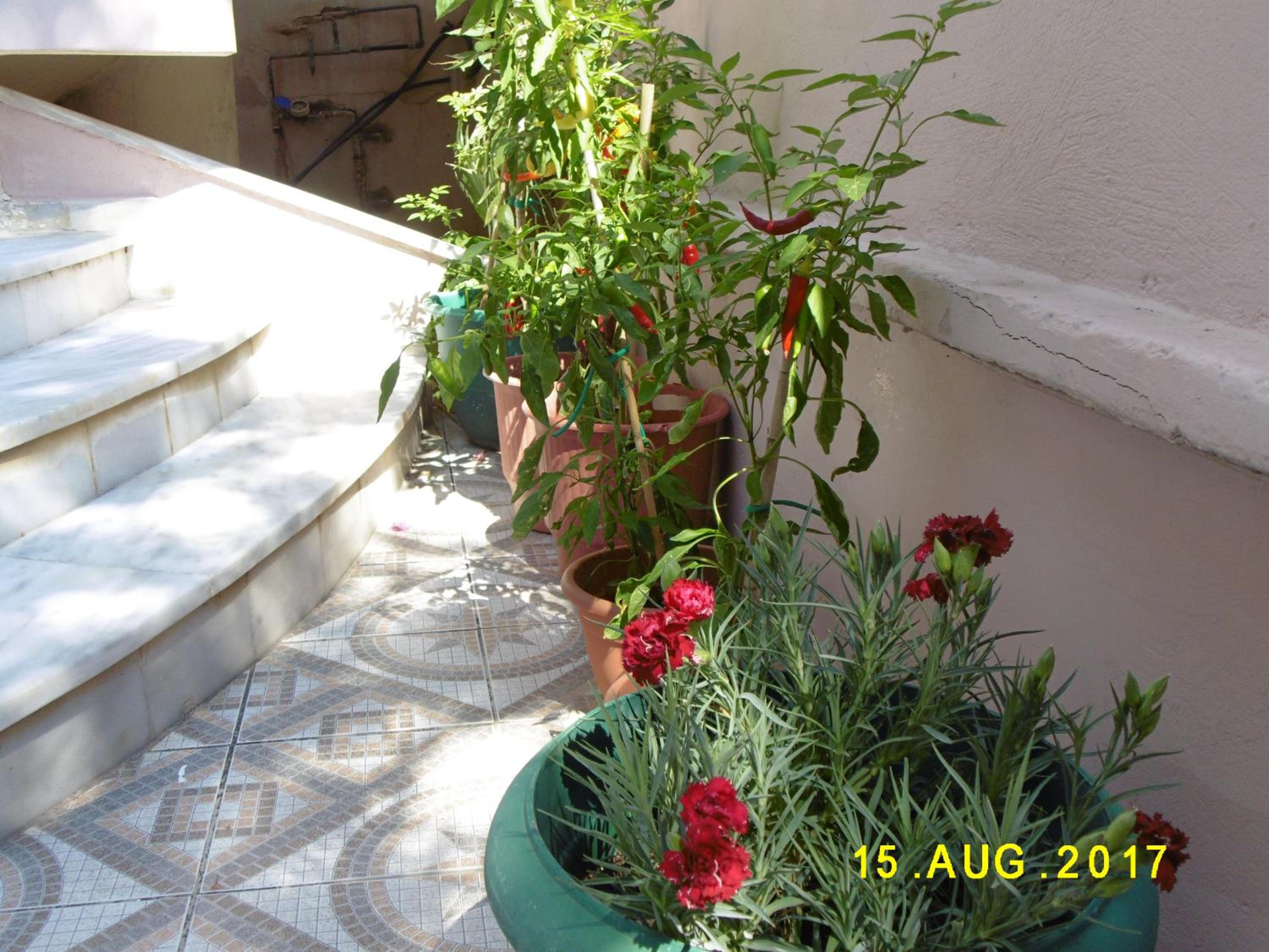 Photo 54