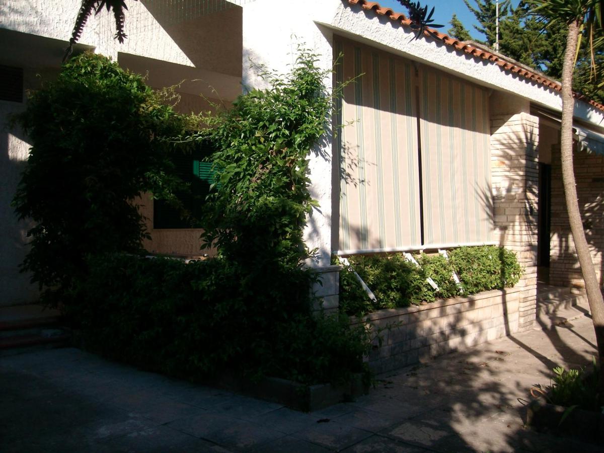 Photo 36