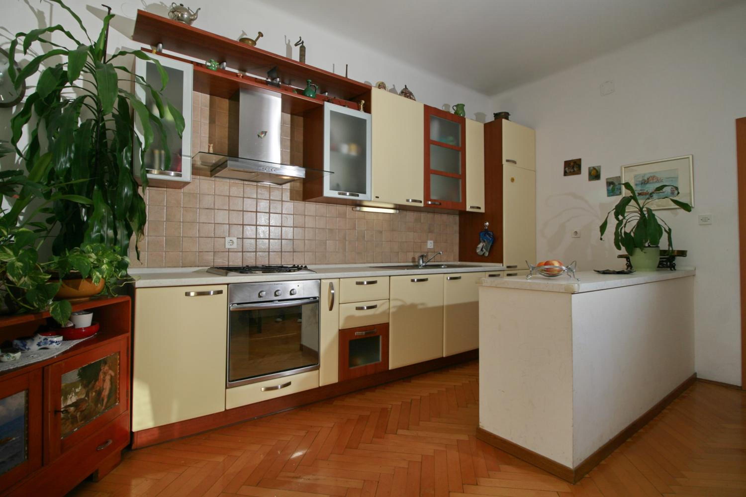 Spacious apartment in the center view 3