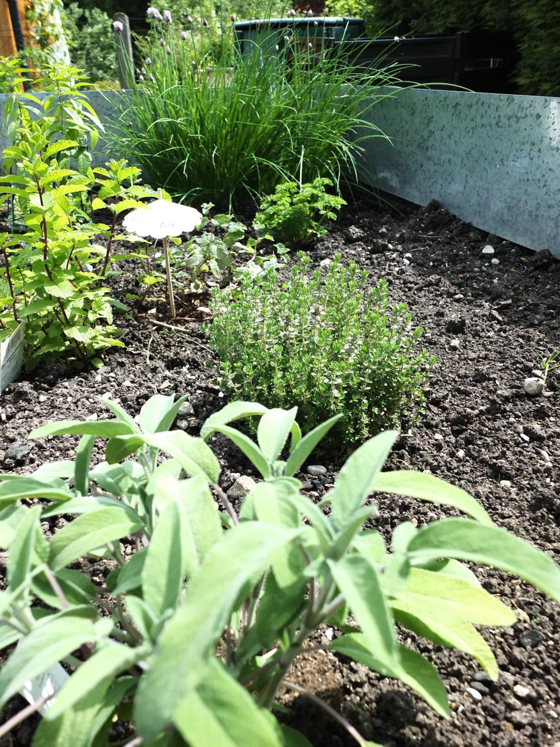 Ferienhaus in der Schlipfing mit Garten