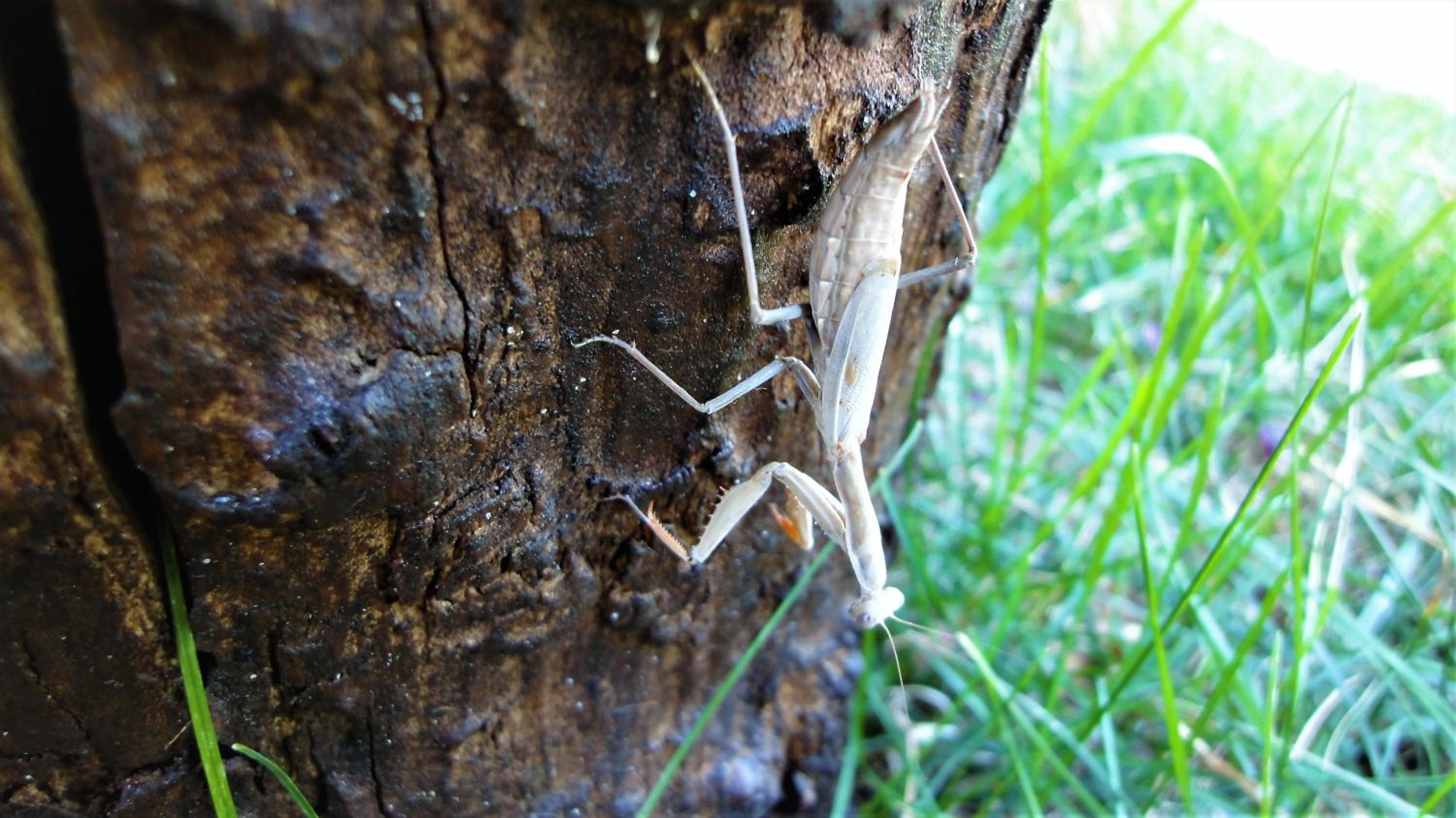 Photo 45