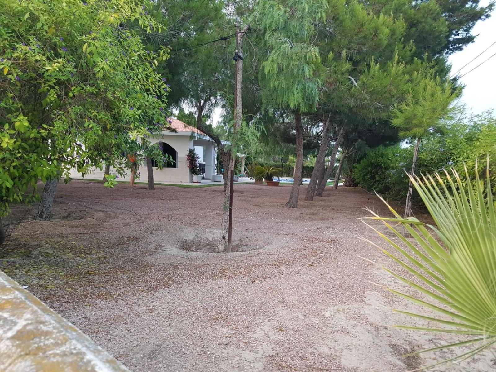 Photo 42