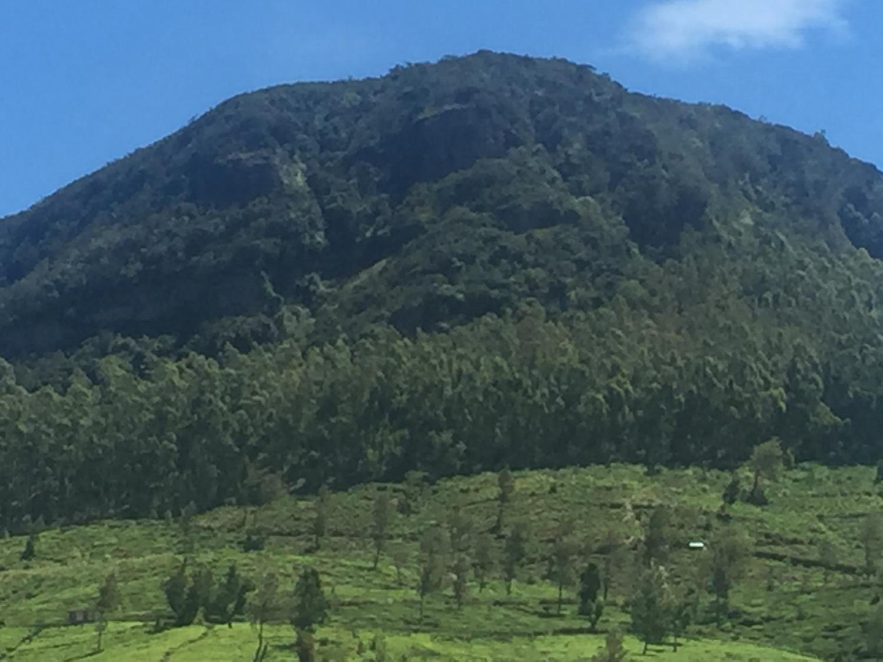 Perera Homestay